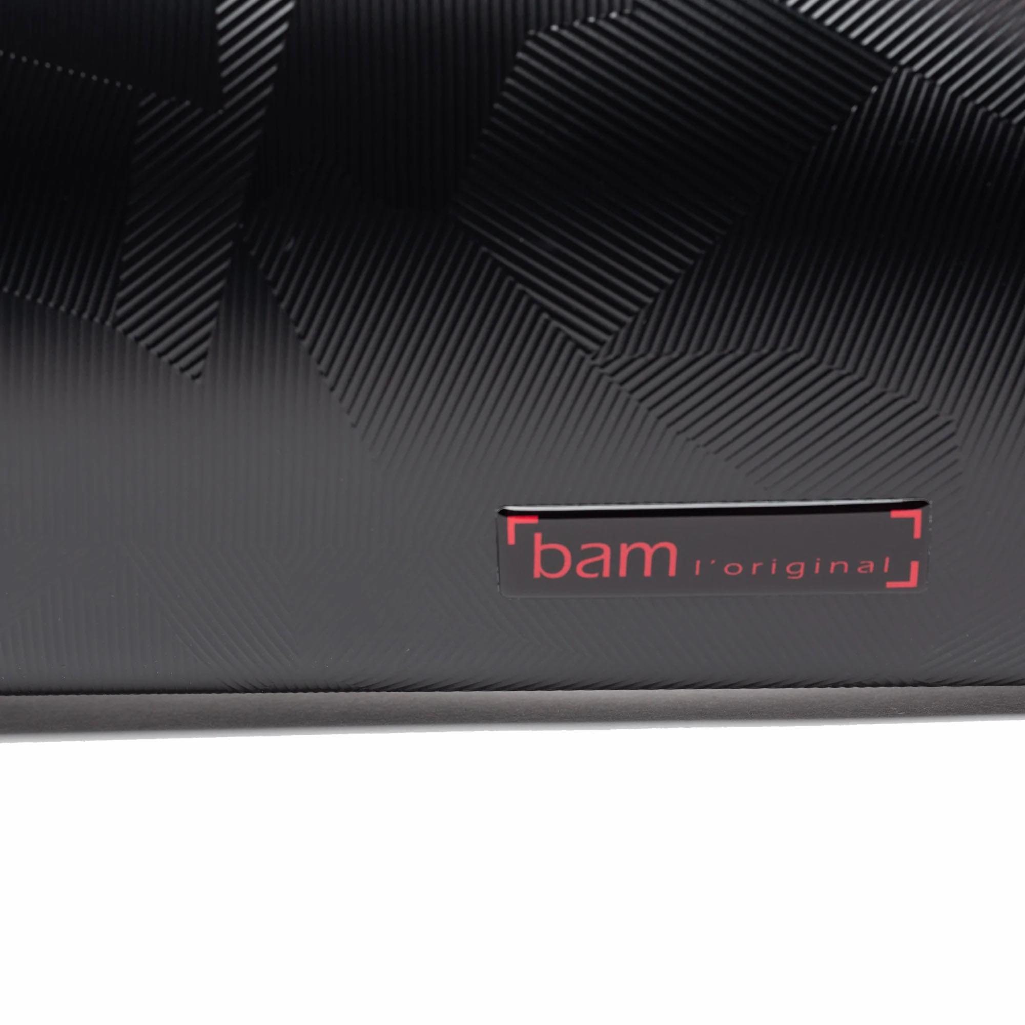 Bam Shadow Slim Violin Case