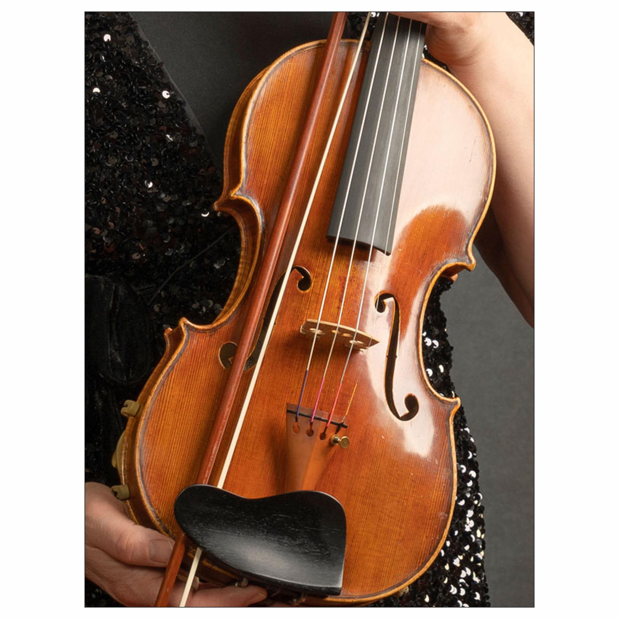 Larsen Aurora Violin Strings