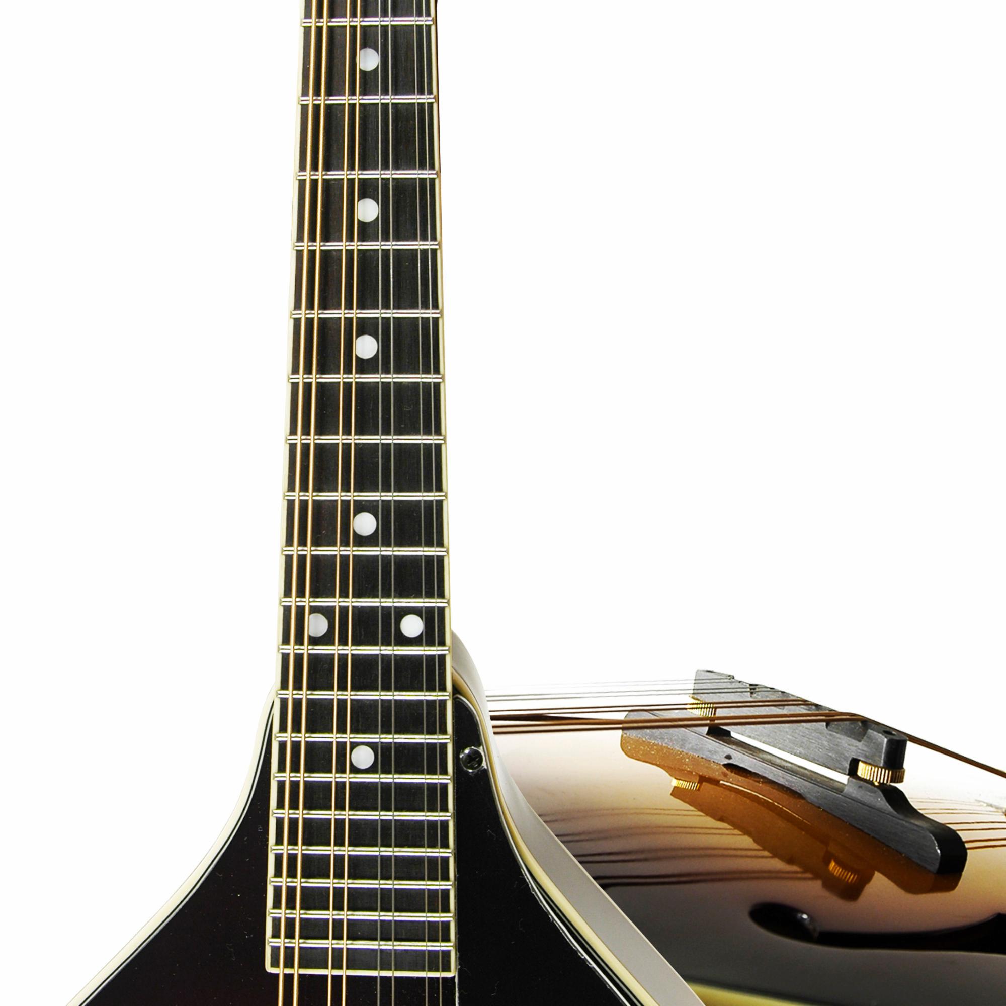 Delta Ridge A-Model Mandolin