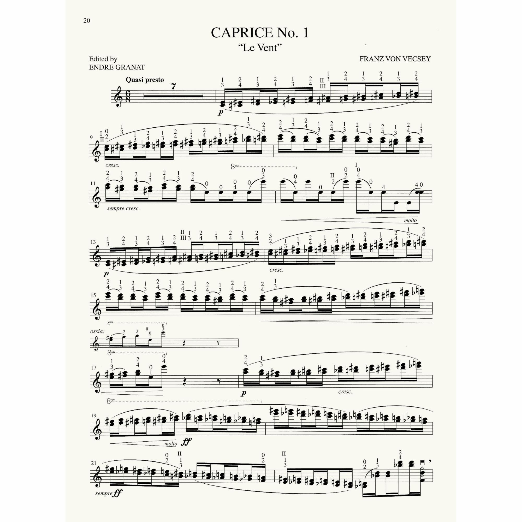 Sample: Violin Part