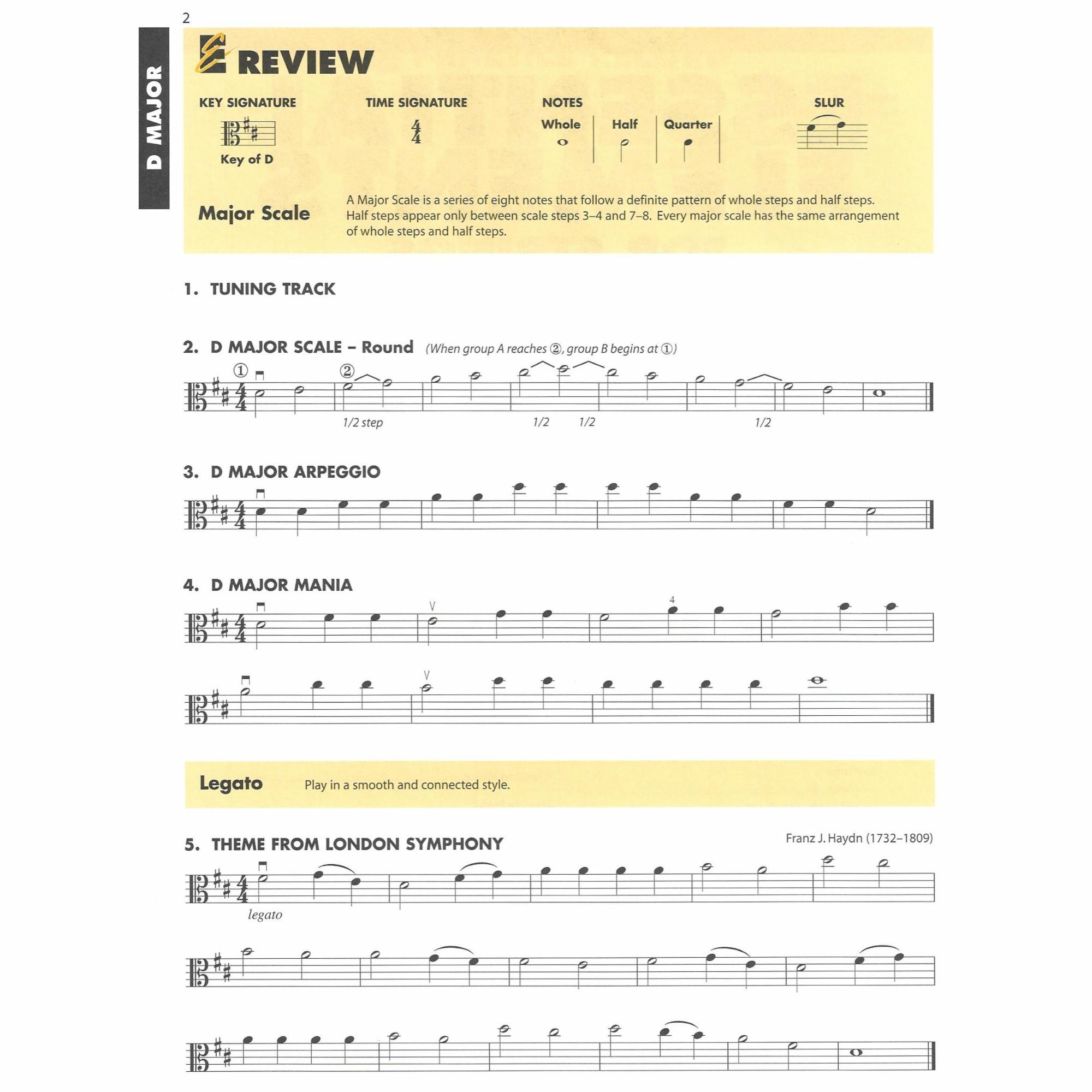 Sample: Viola, Pg. 2