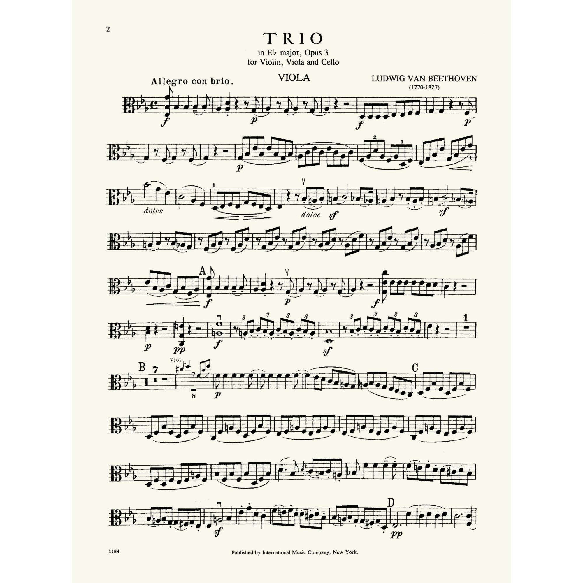 Sample: Viola (Pg. 2)