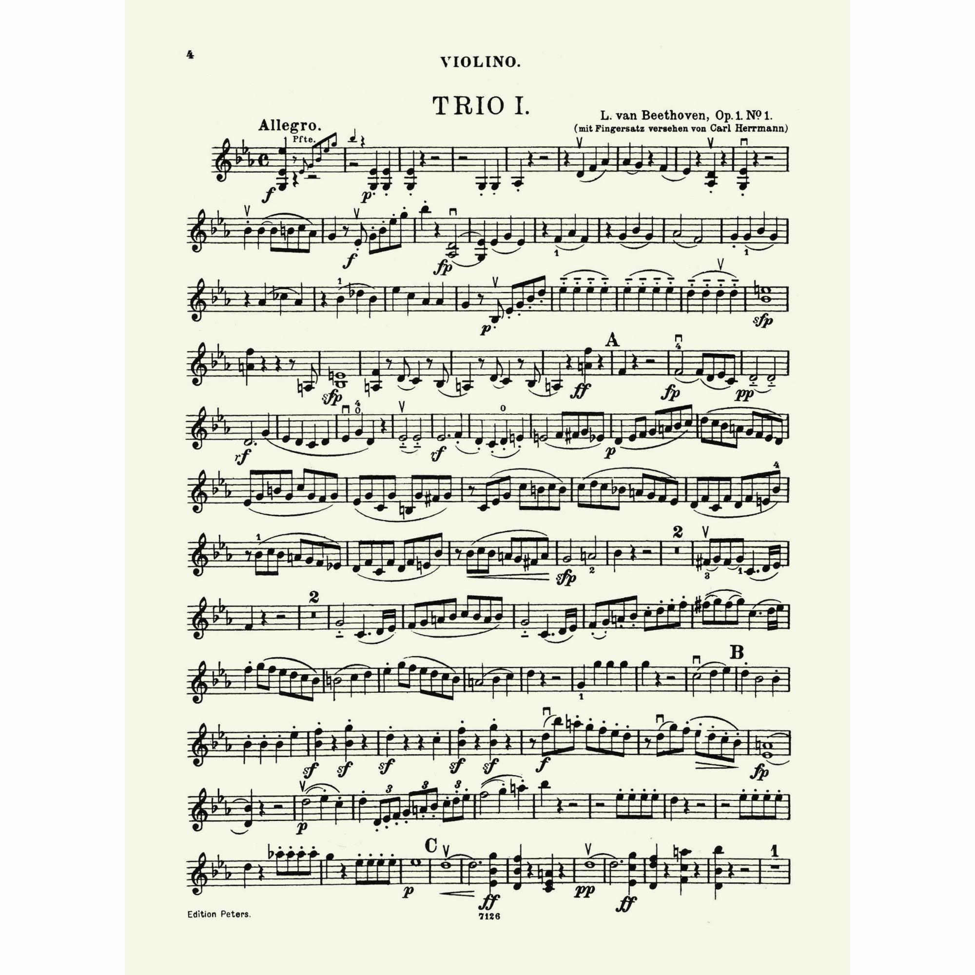 Sample: Violin (Pg. 4)