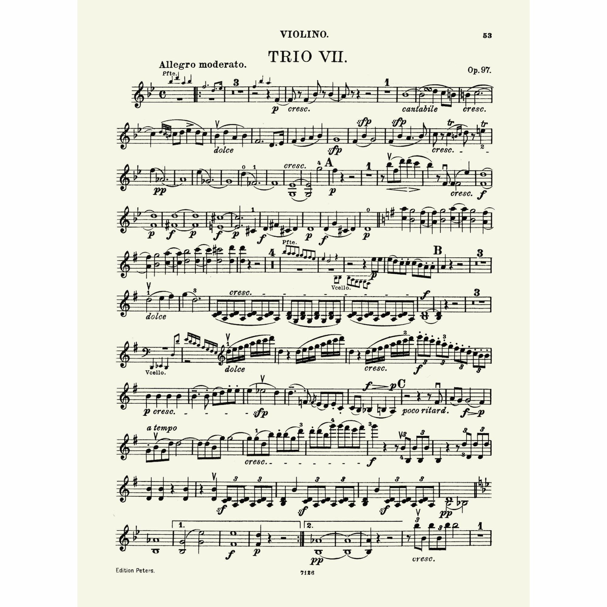 Sample: Violin (Pg. 1 [53])