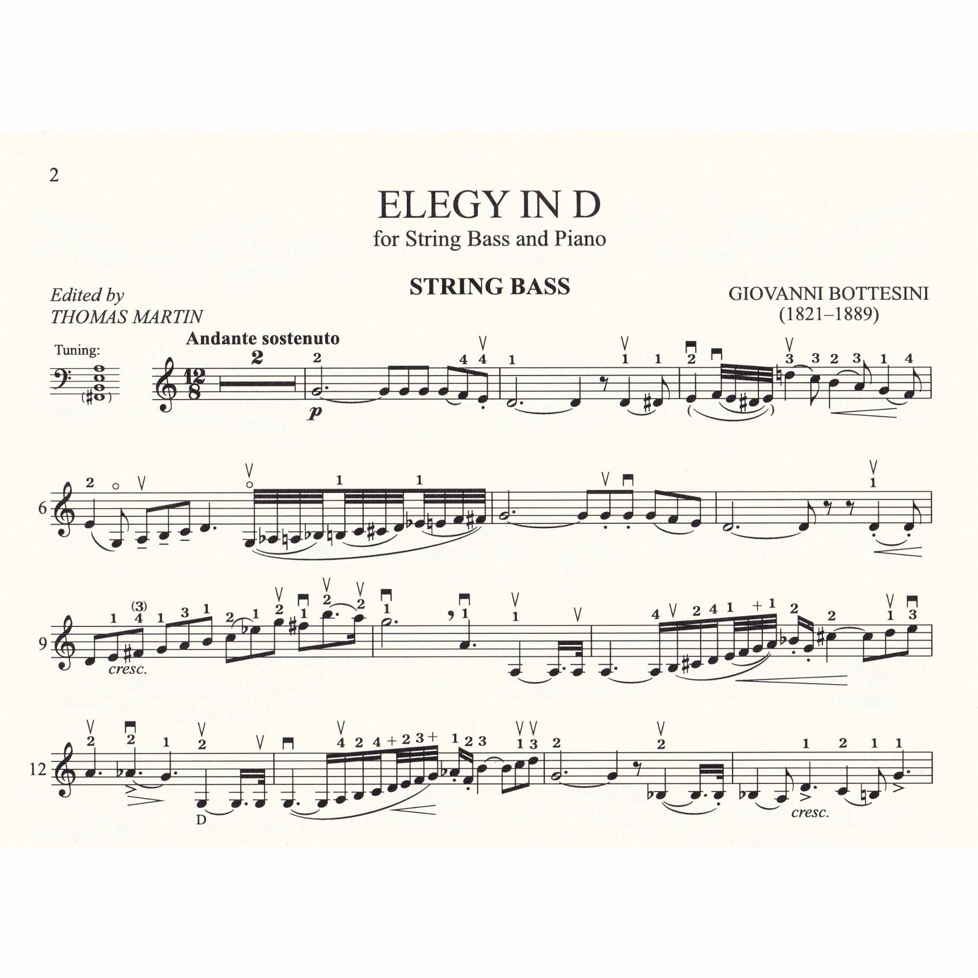 Two Elegies for Bass and Piano