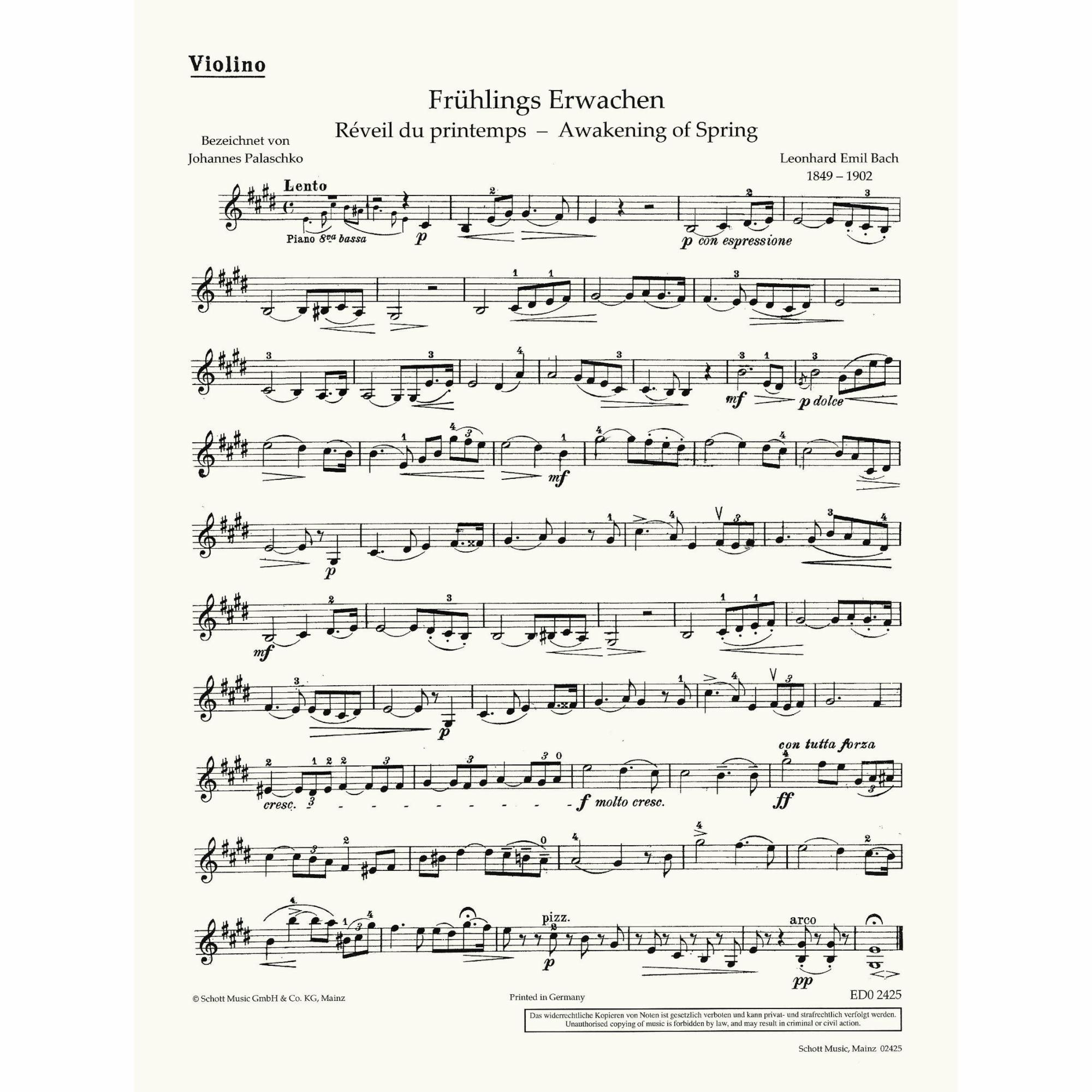 Sample: Violin (Pg. 1)