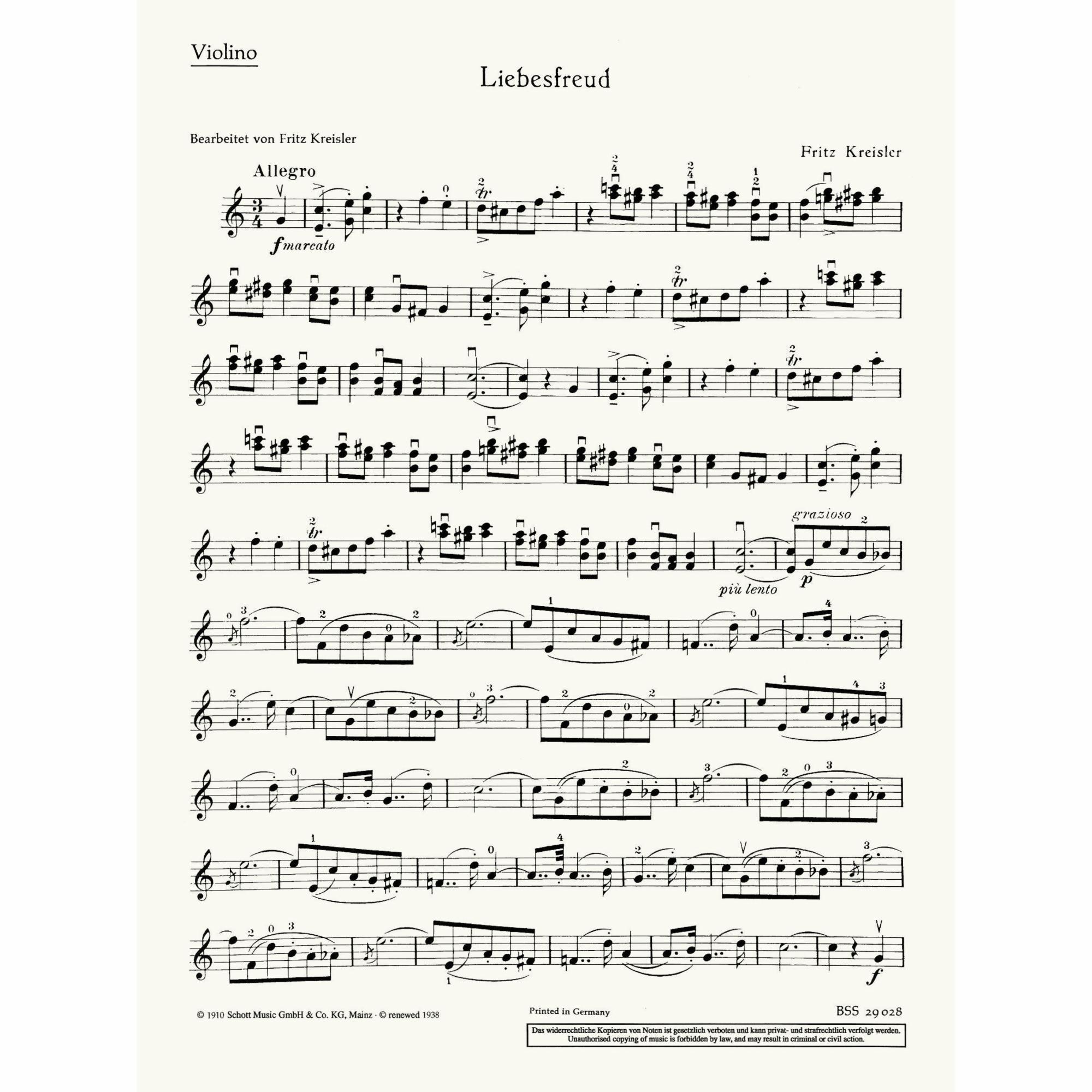 Sample: Violin Part