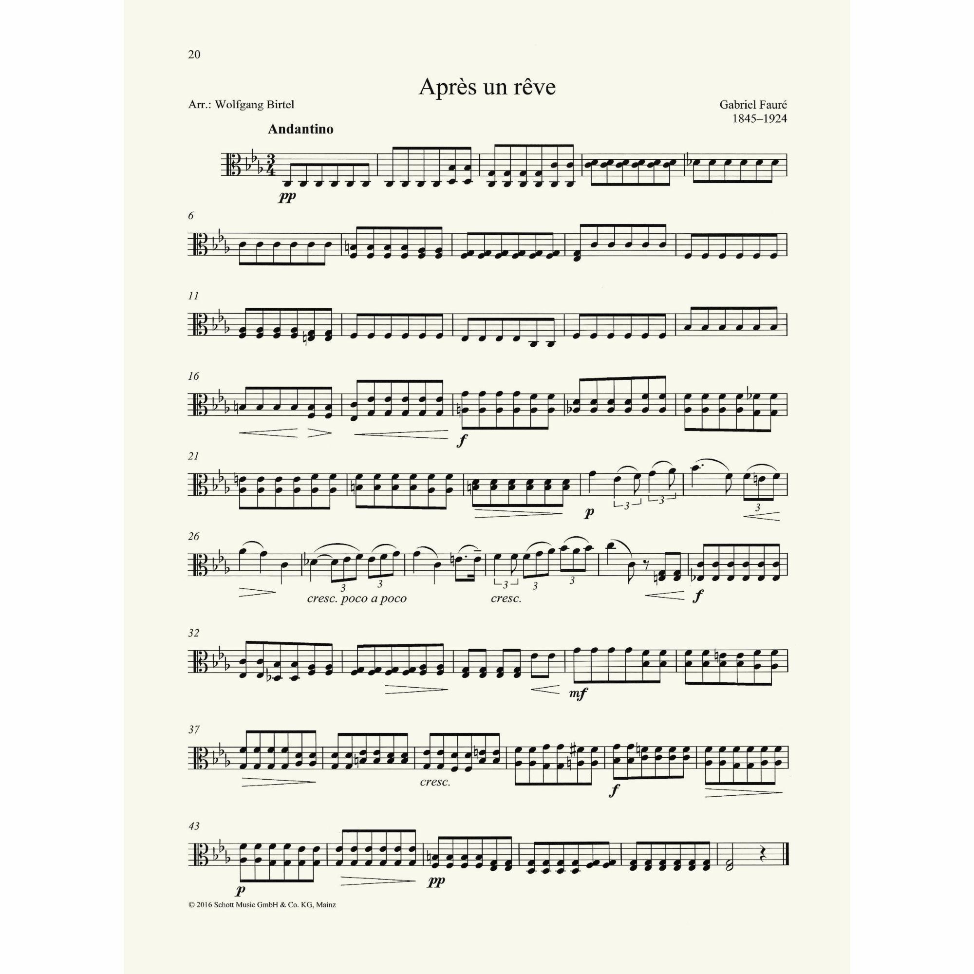 Sample: Viola (Pg. 20)