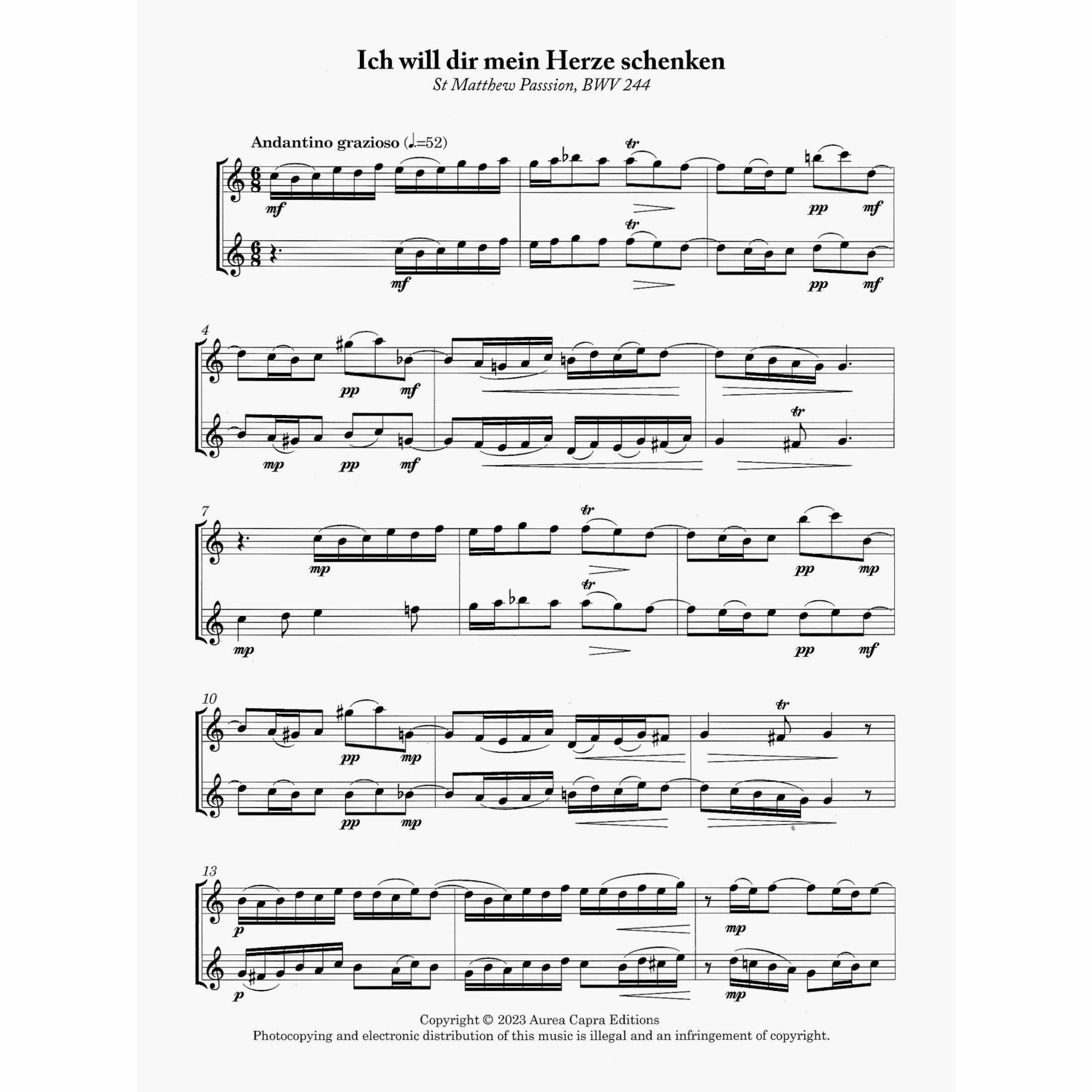 Sample: Violin Part