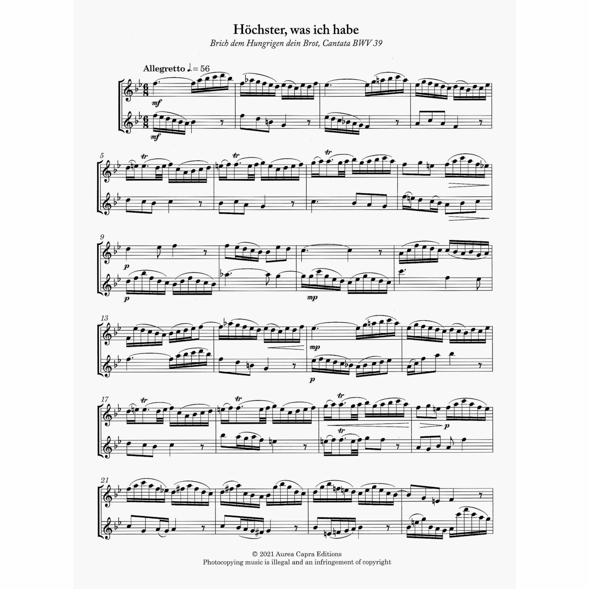 Sample: Violin Part