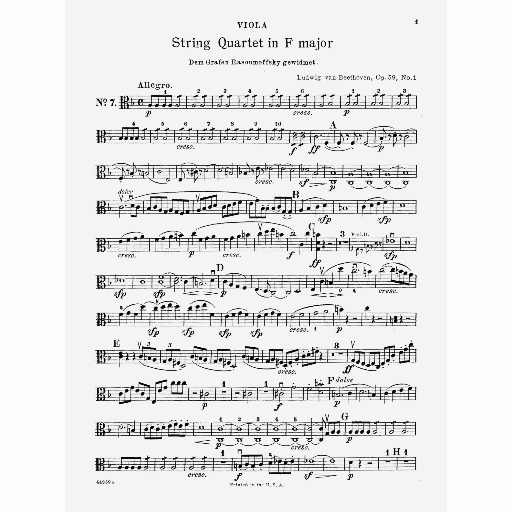 Sample: Viola (Pg. 1)