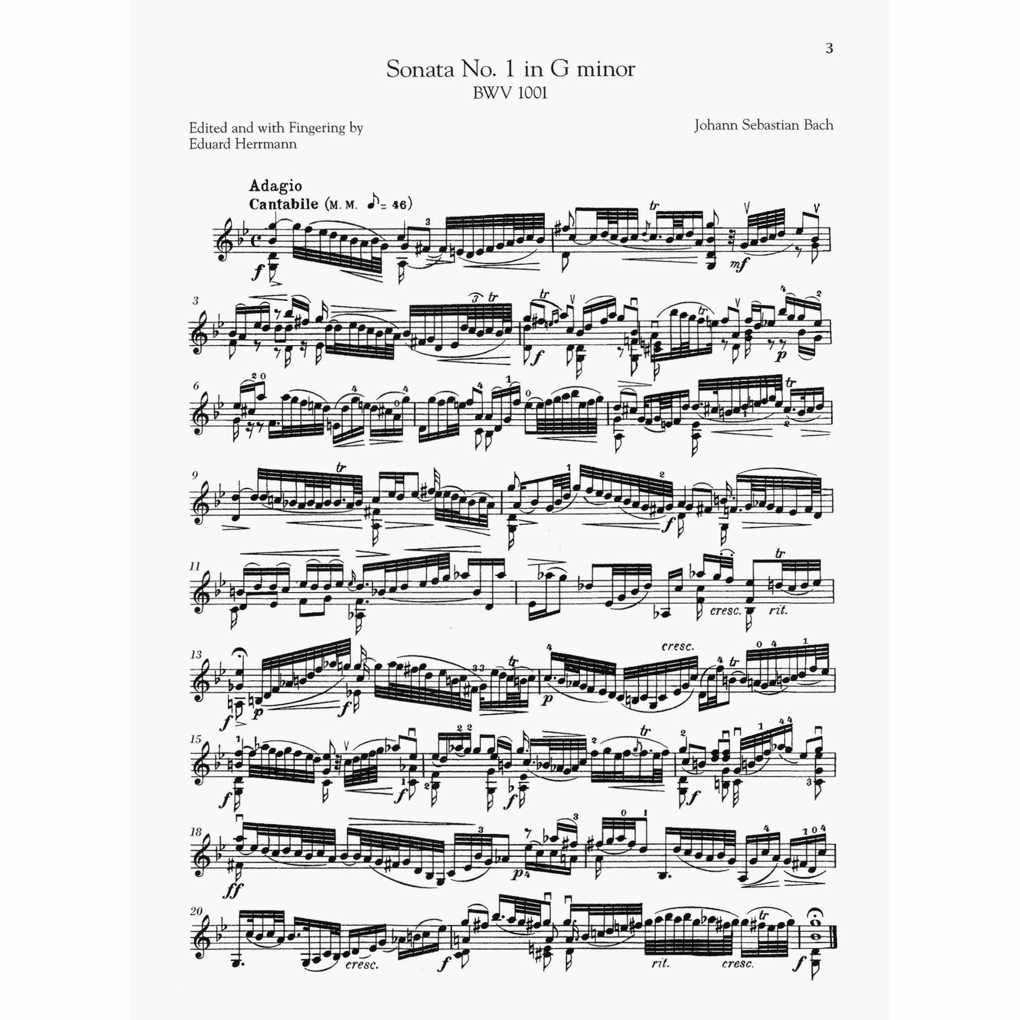 Sample: Violin (Pg. 3)