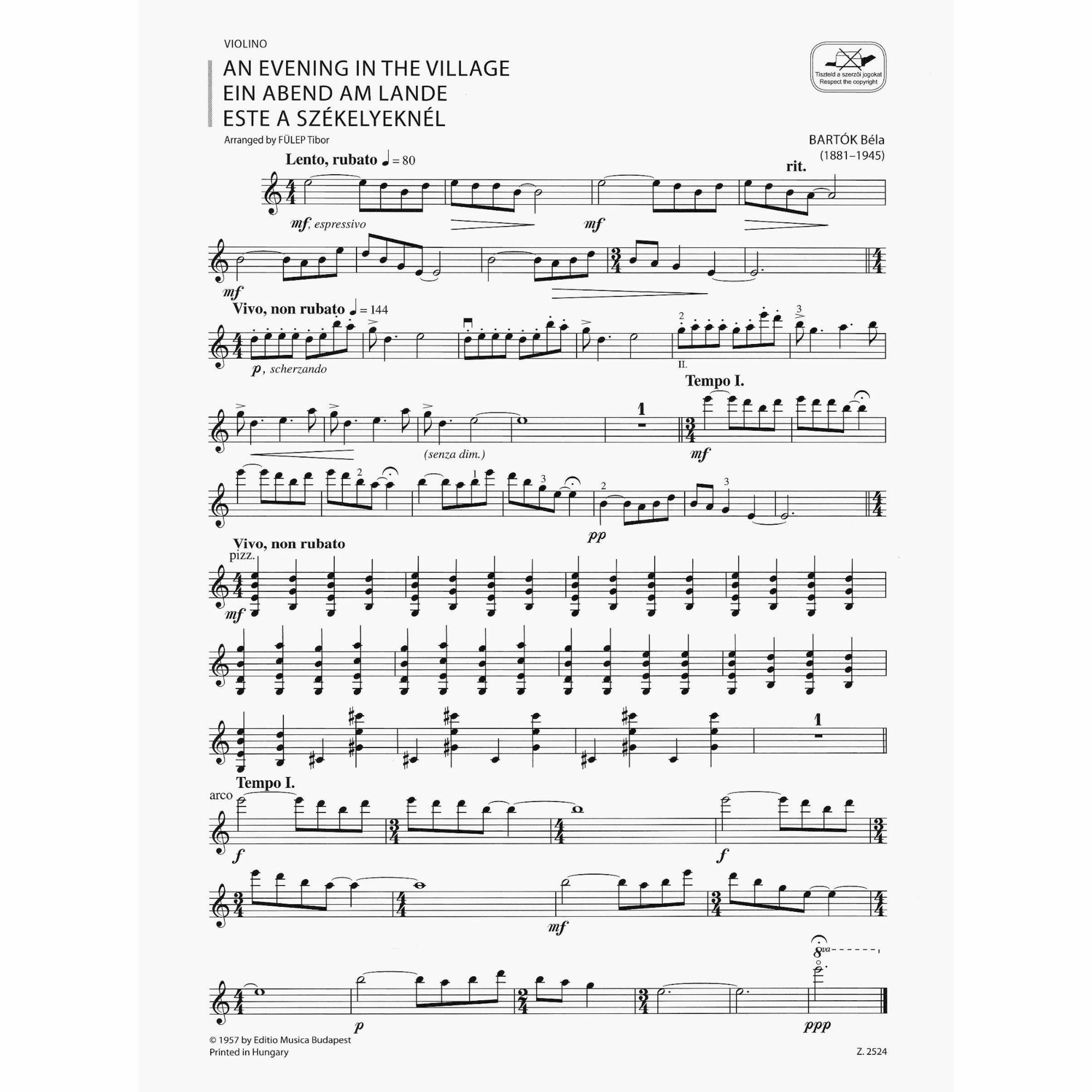 Sample: Violin (Pg. 1)