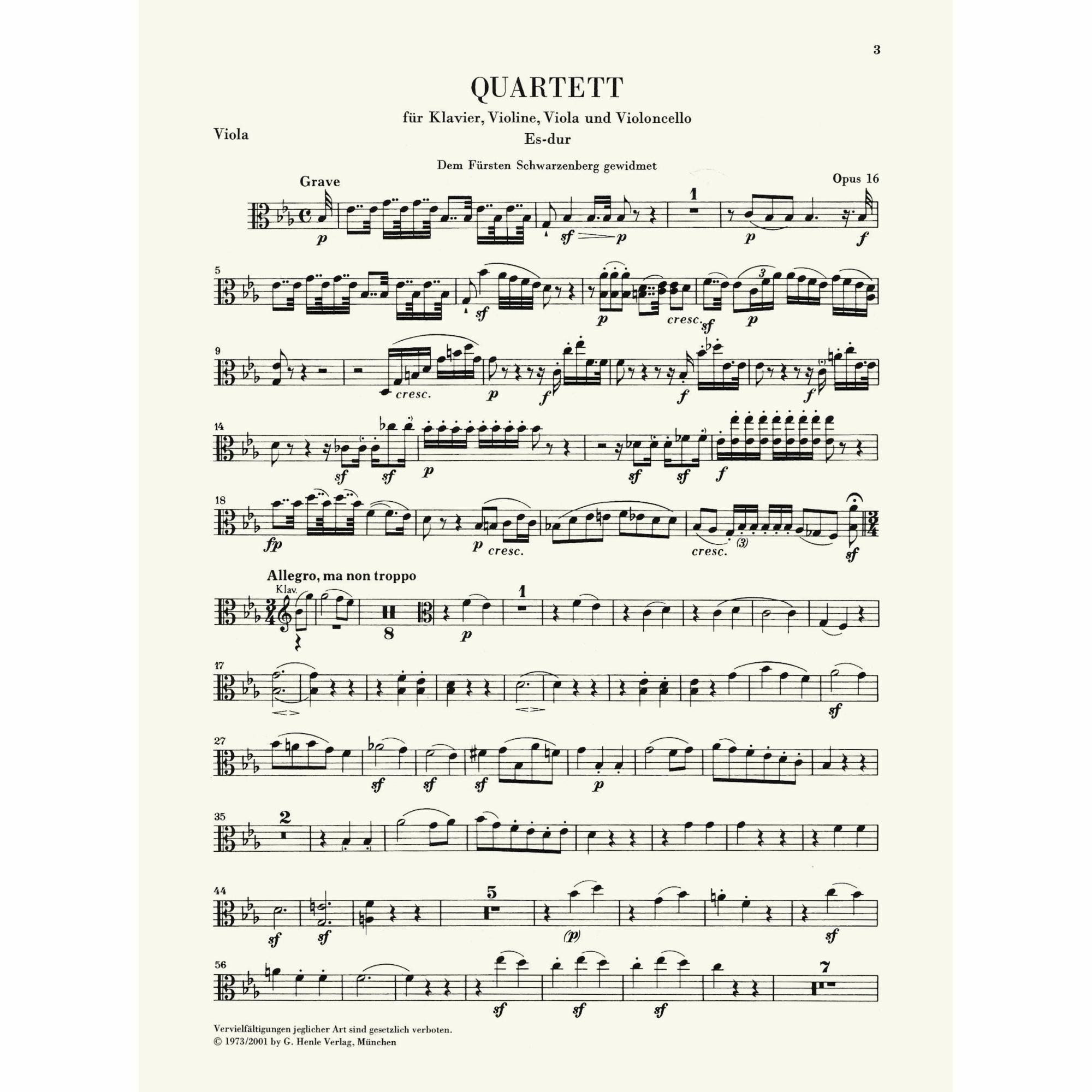 Sample: Viola (Pg. 3)