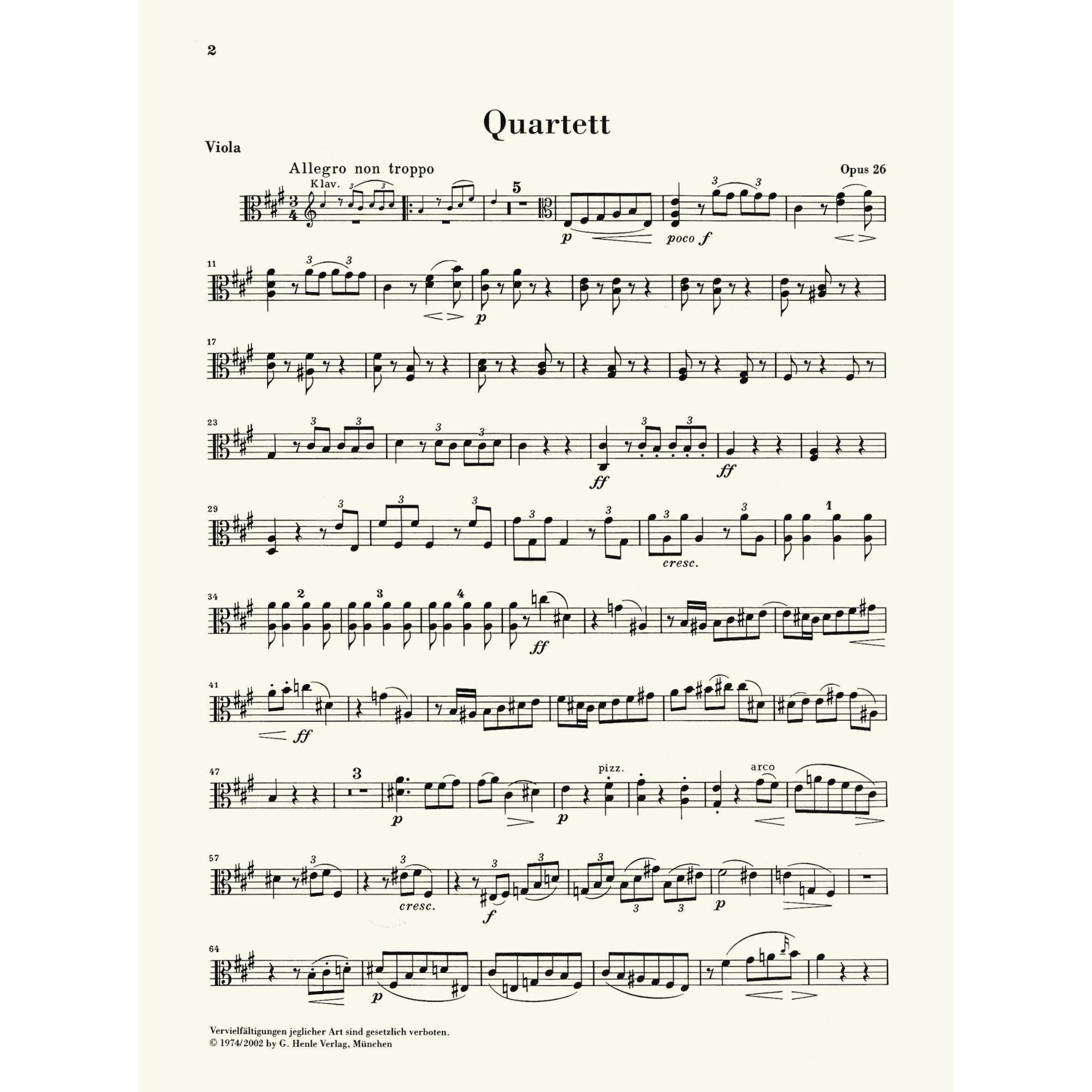 Sample: Viola (Pg. 3)