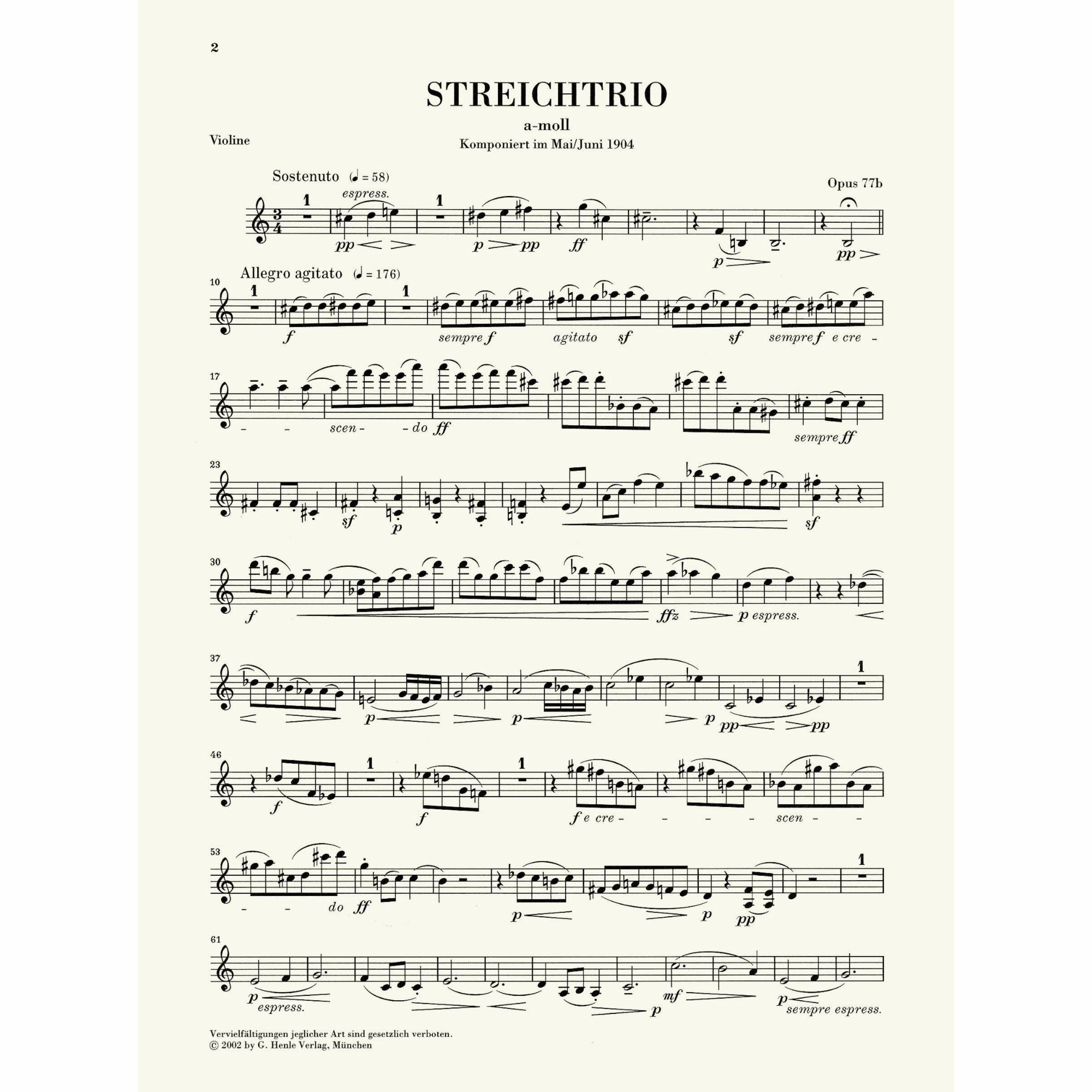 Sample: Violin (Pg. 2)