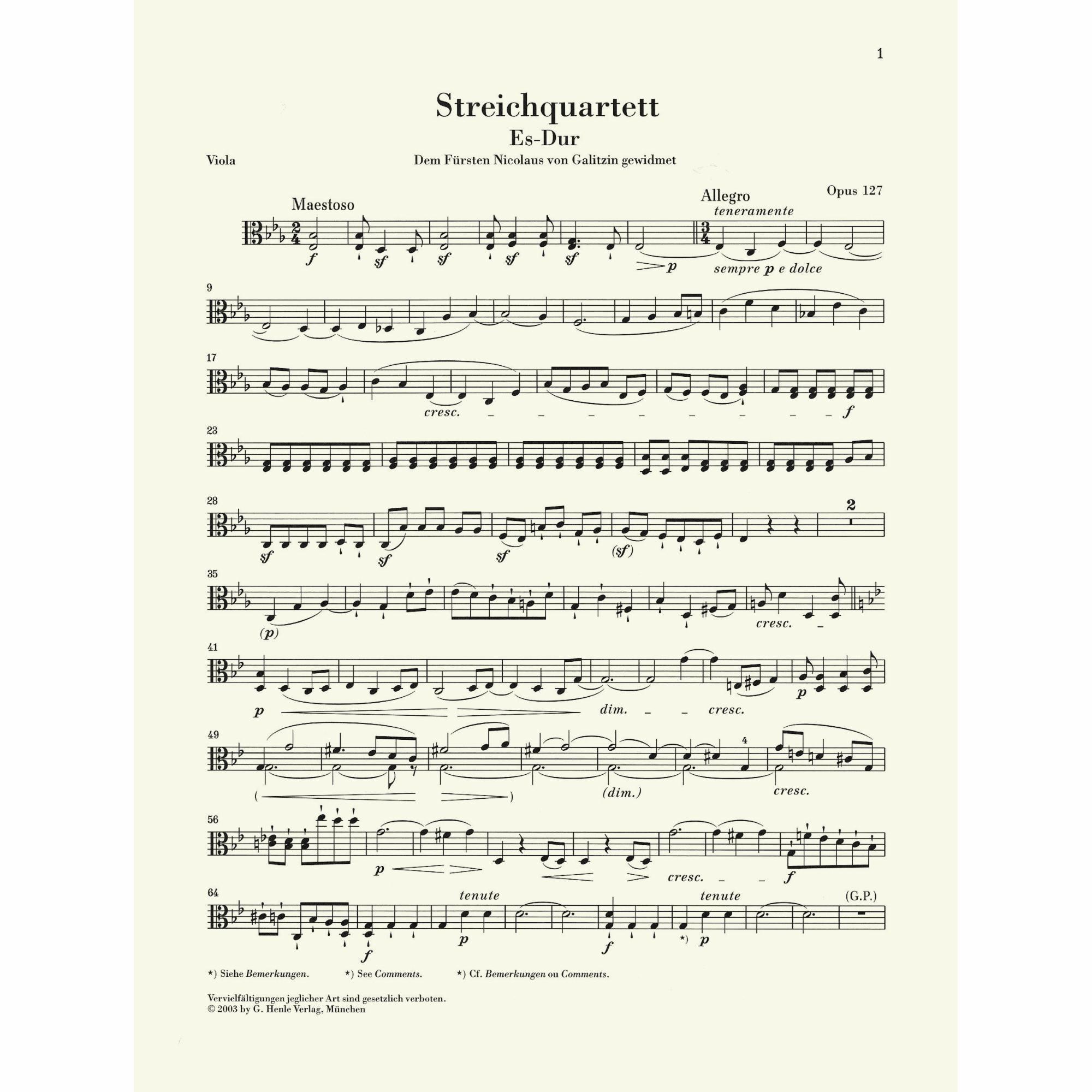 Sample: Viola (Pg. 1)