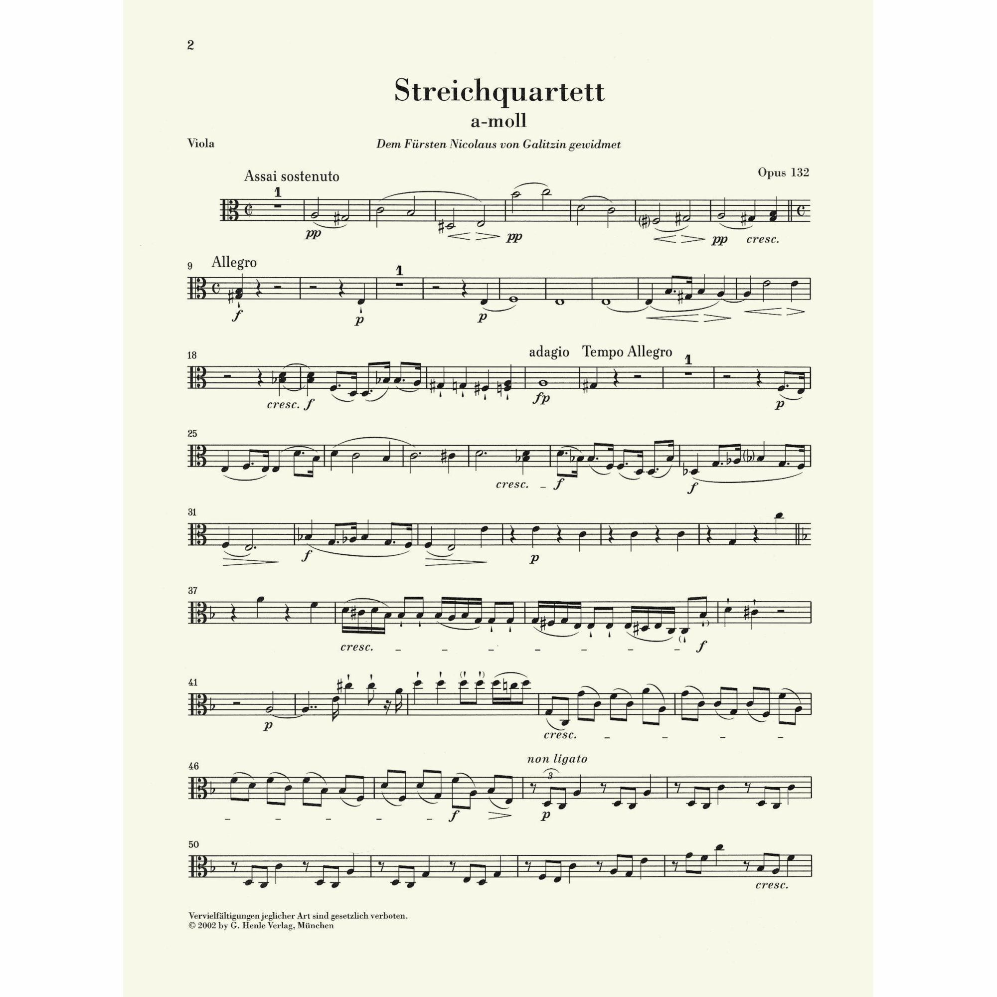 Sample: Viola (Pg. 2)