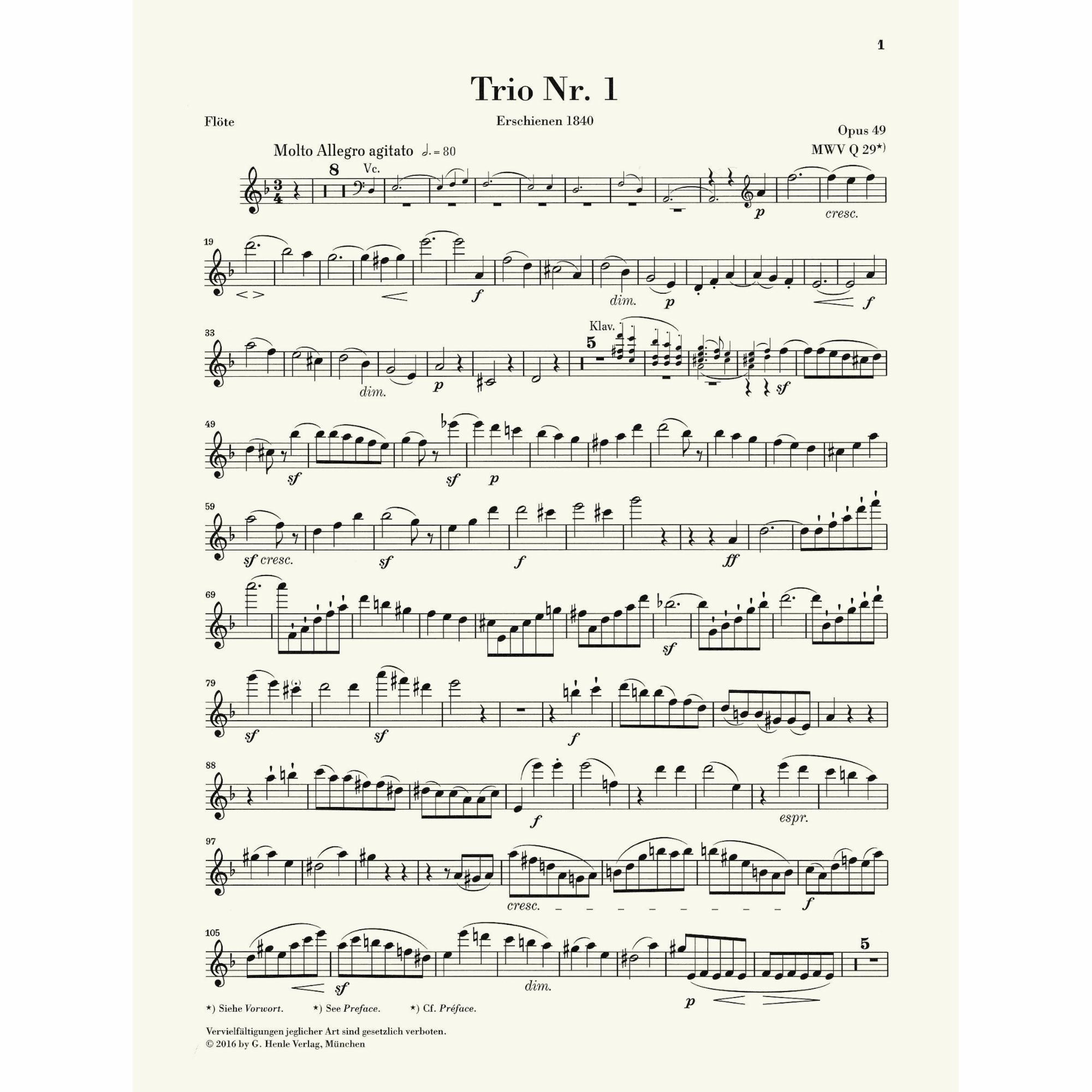 Sample: Flute (Pg. 1)