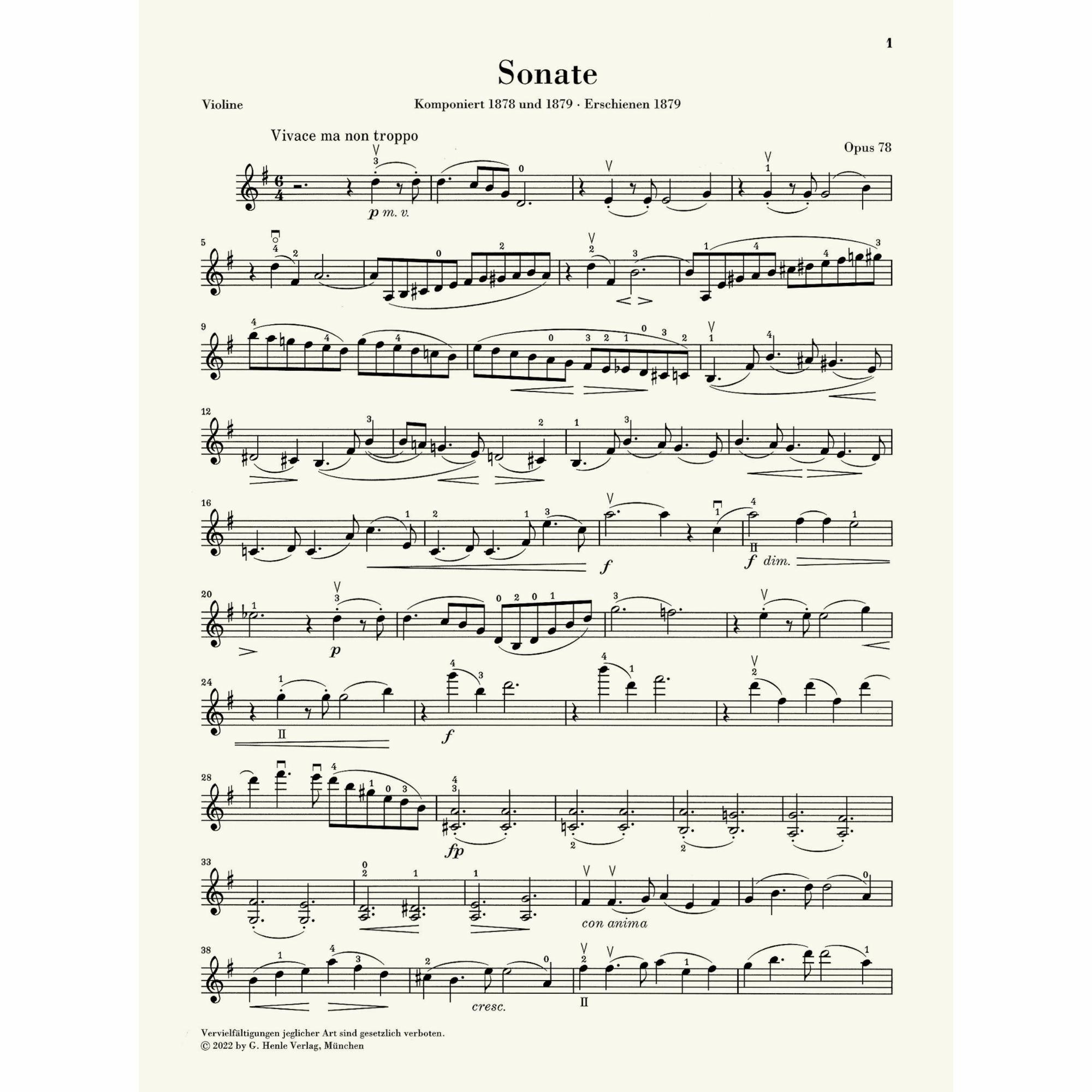 Sample: Marked Violin Part