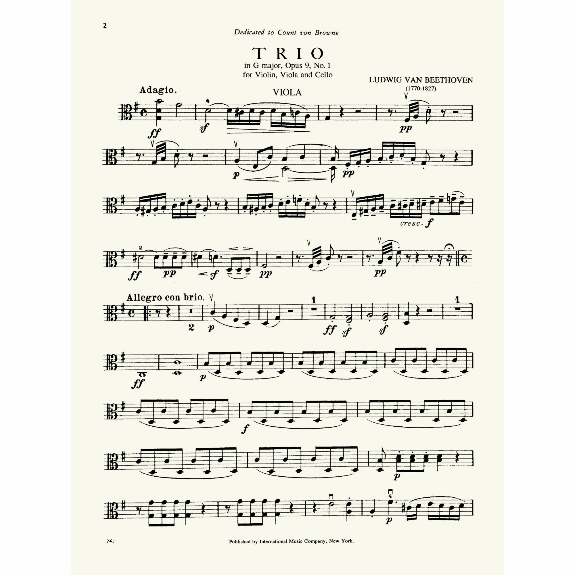 Sample: Viola (Pg. 2)