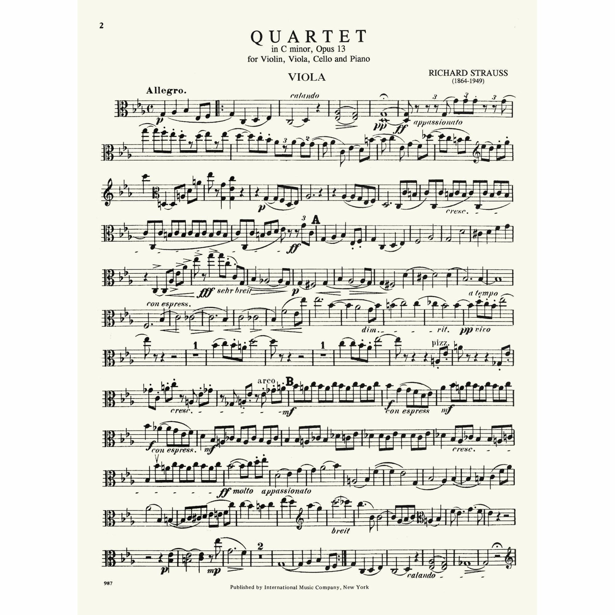 Sample: Viola (Pg. 2)