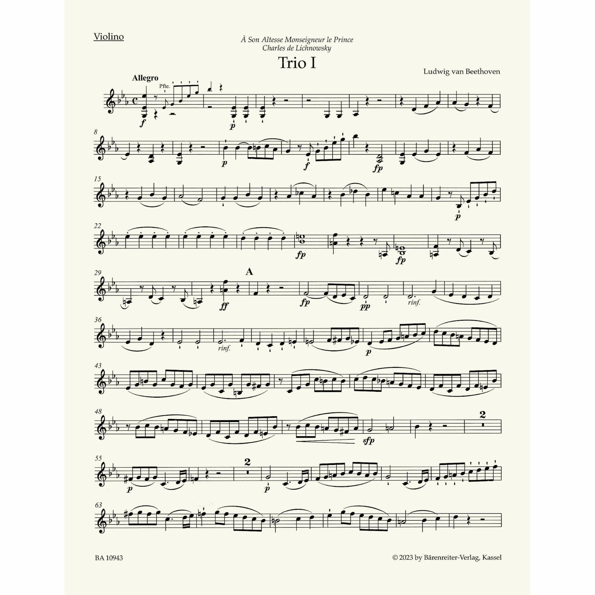 Sample: Violin Part