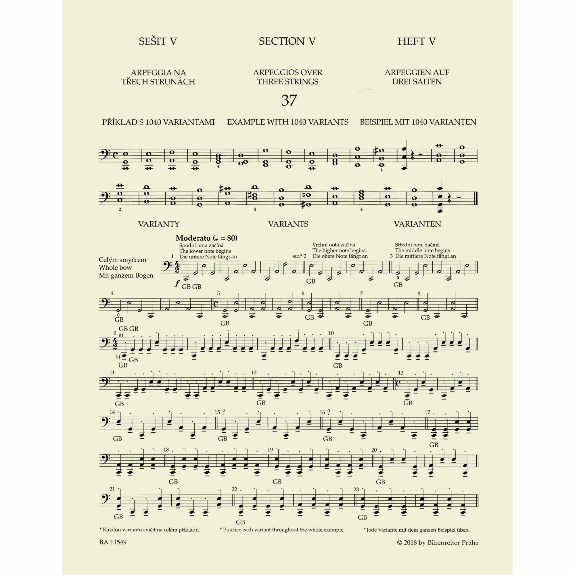 Sample: Sections V-VI (Pg. 1)