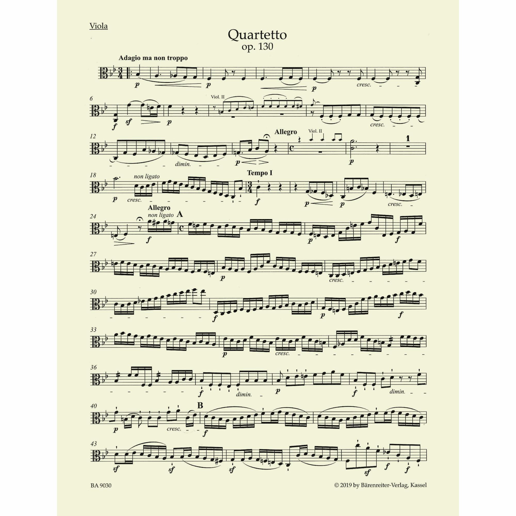 Sample: Viola (Pg. 2)