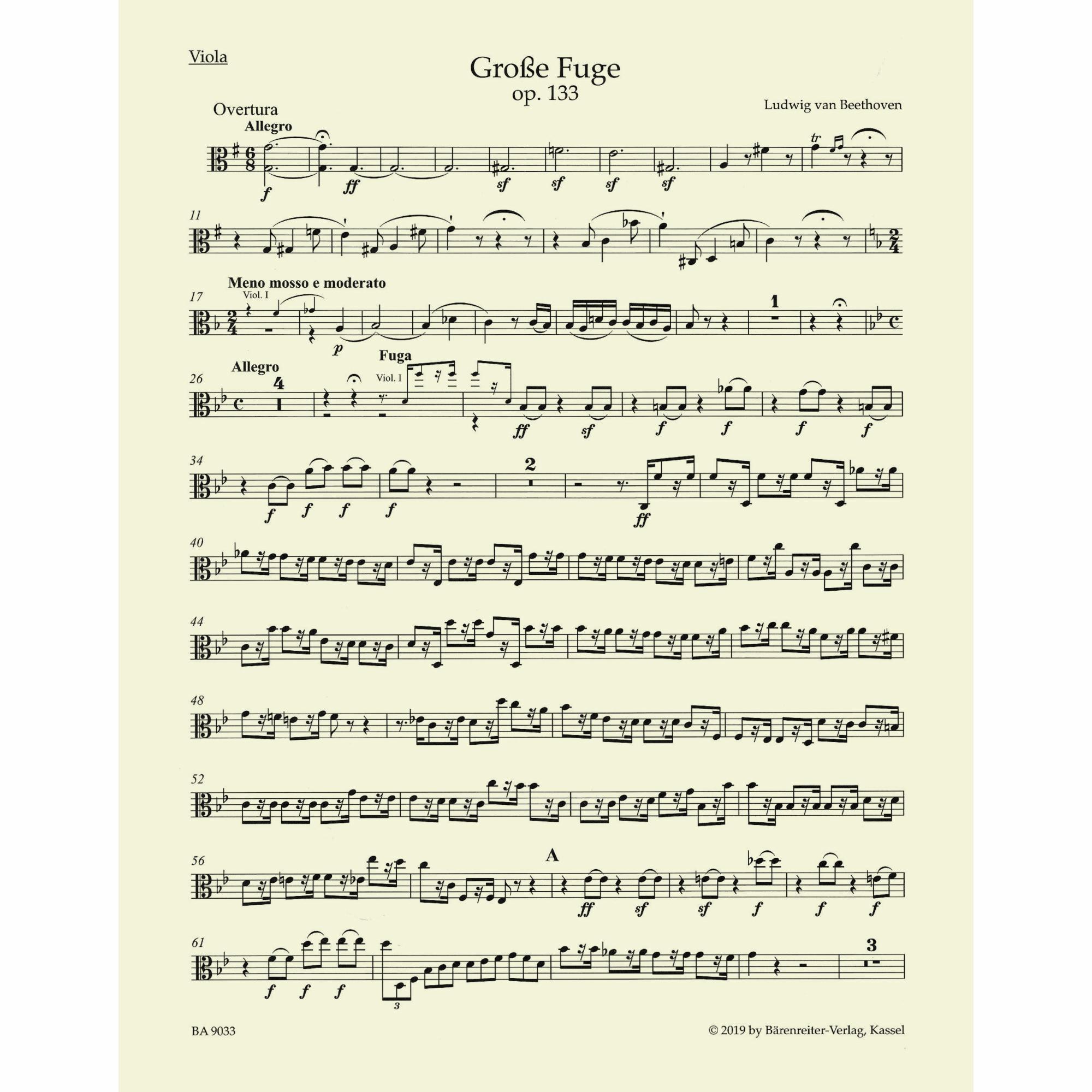 Sample: Viola (Pg. 1)