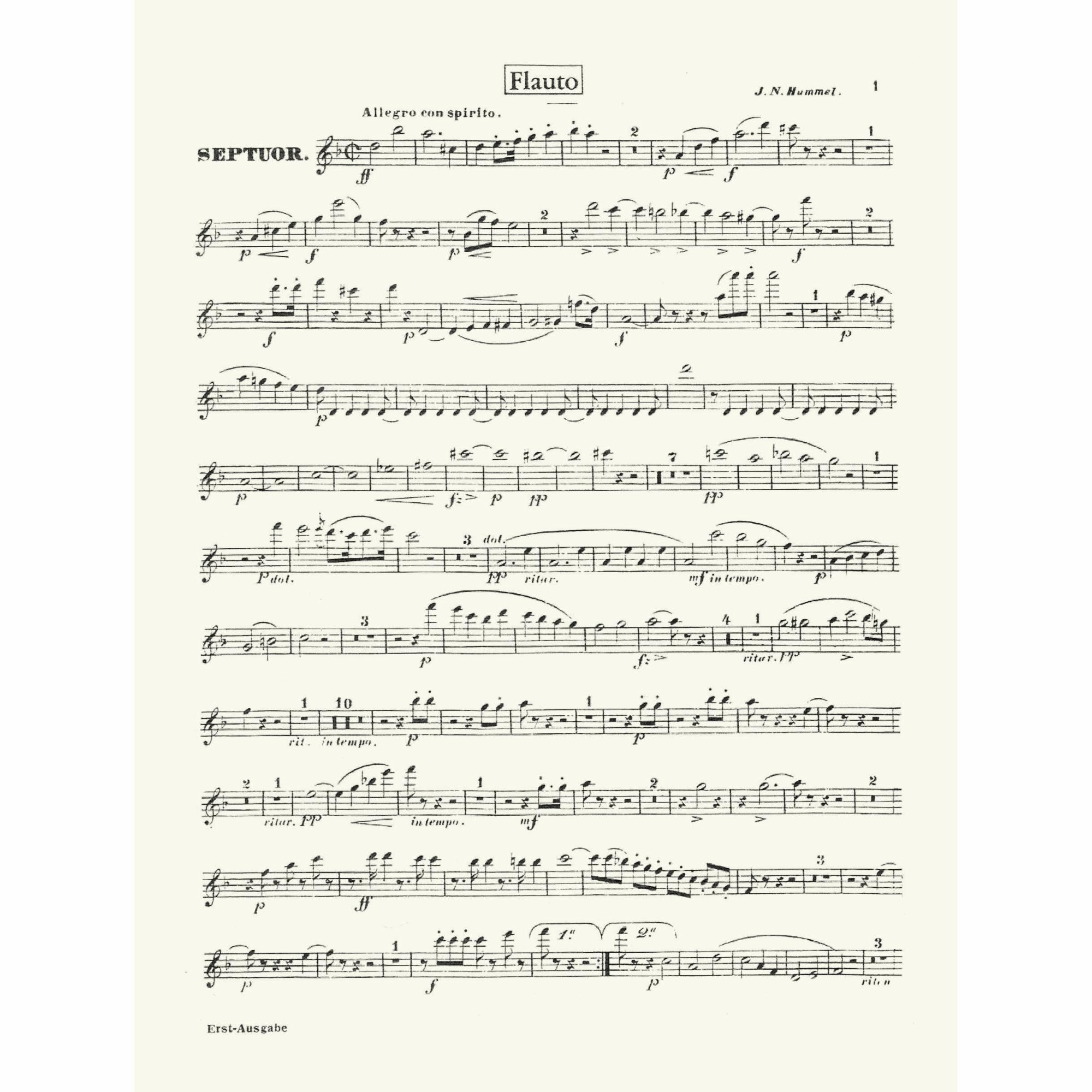 Sample: Flute (Pg. 1)