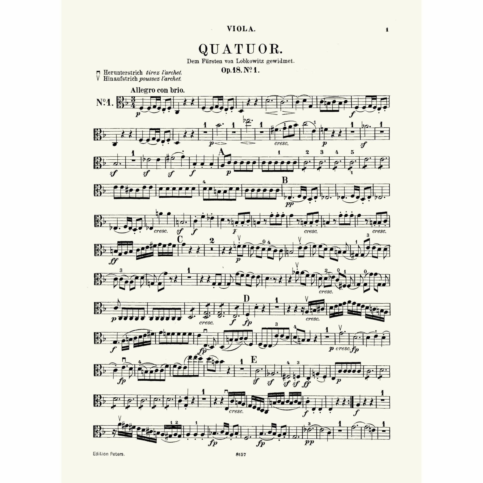 Sample: Viola (Pg. 1)