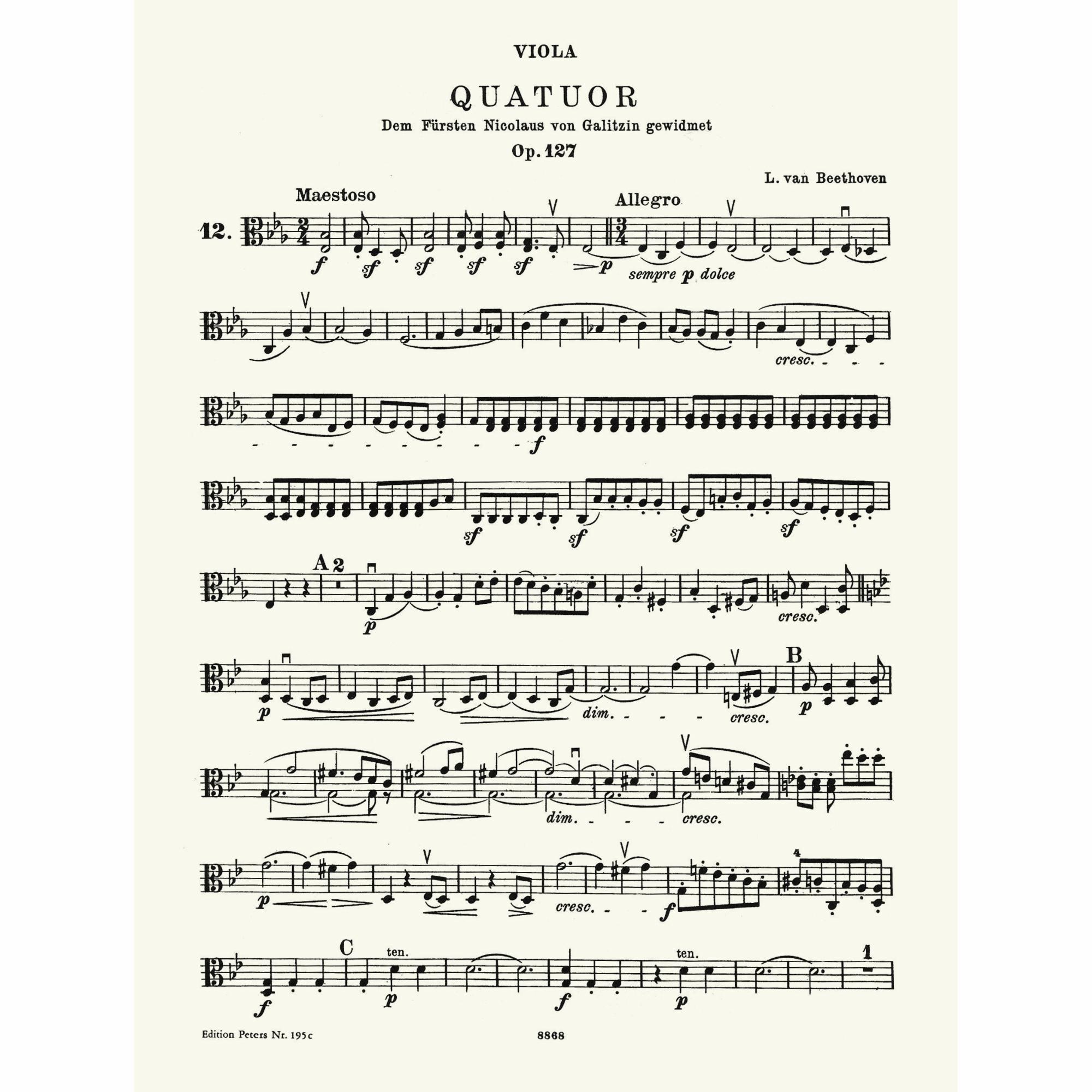 Sample: Viola (Pg. 3)