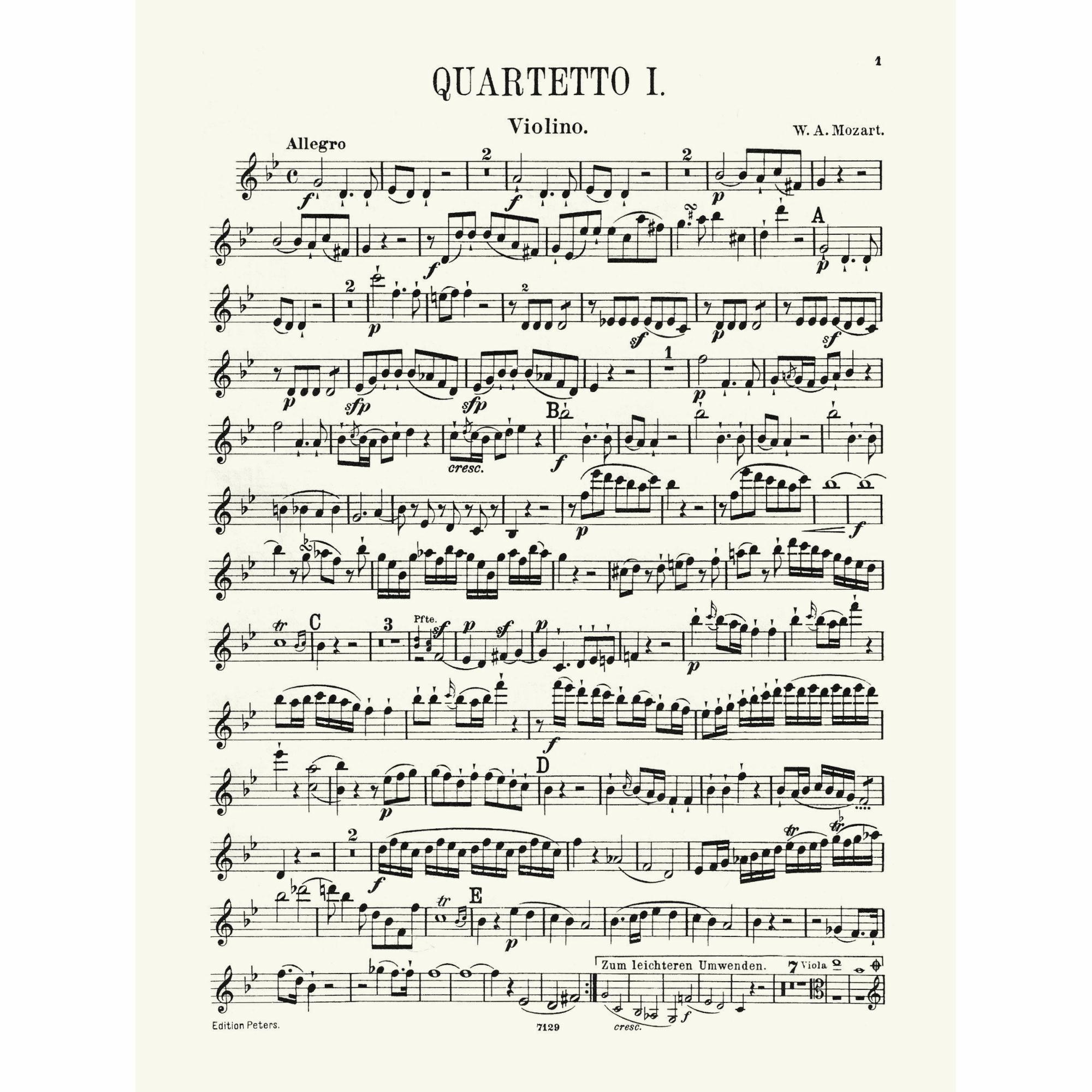 Sample: Violin (Pg. 1)