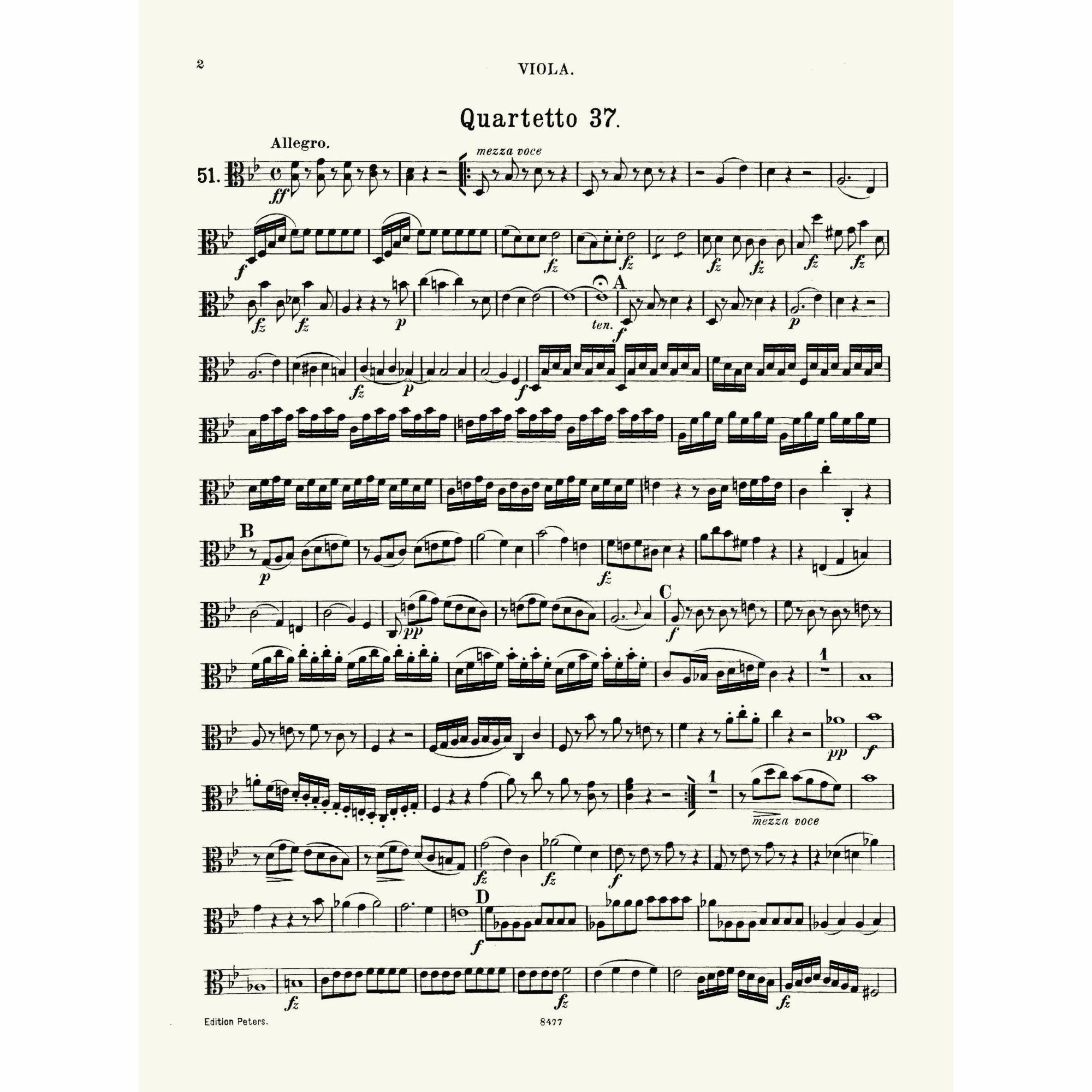 Sample: Viola (Pg. 2)