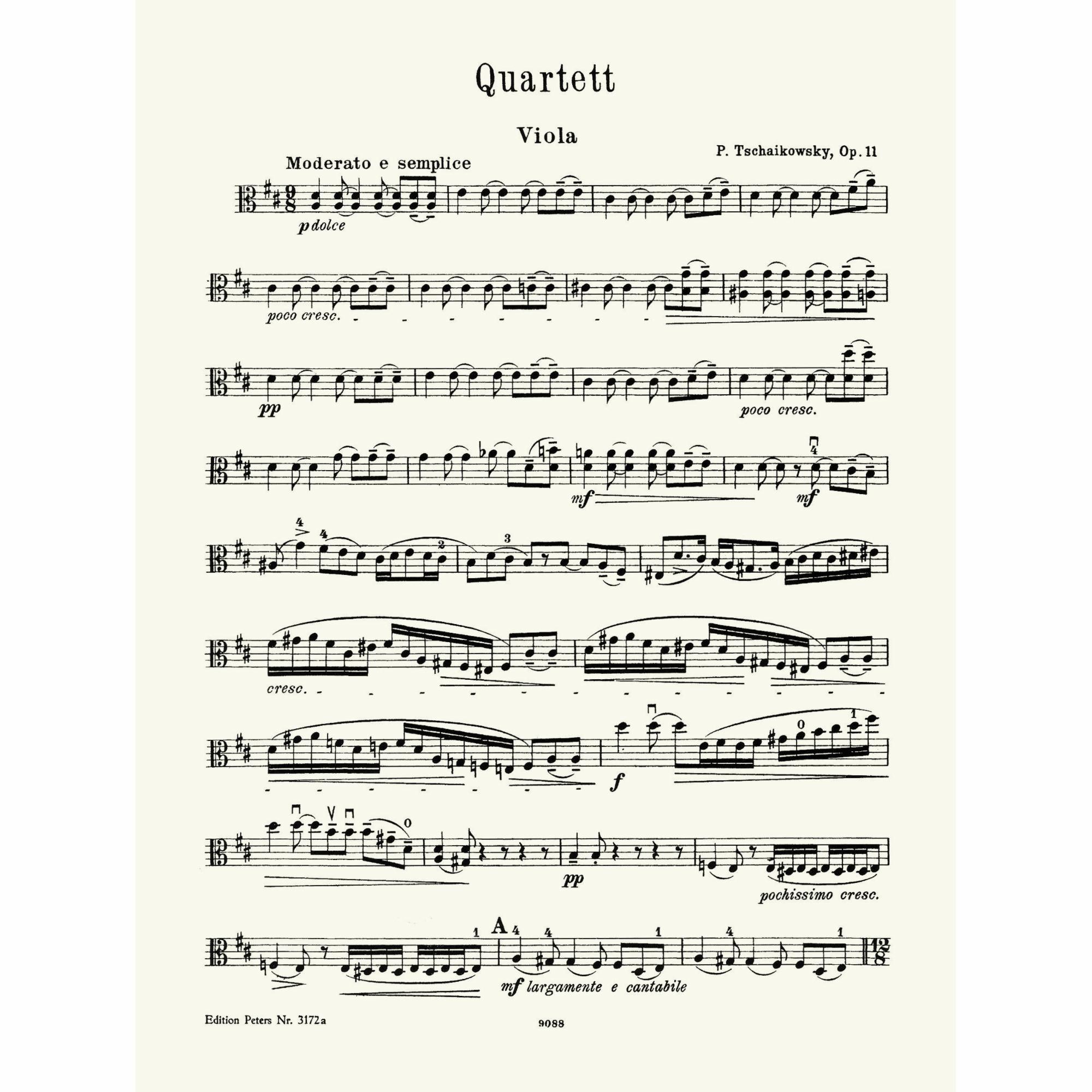 Sample: Viola (Pg. 2)