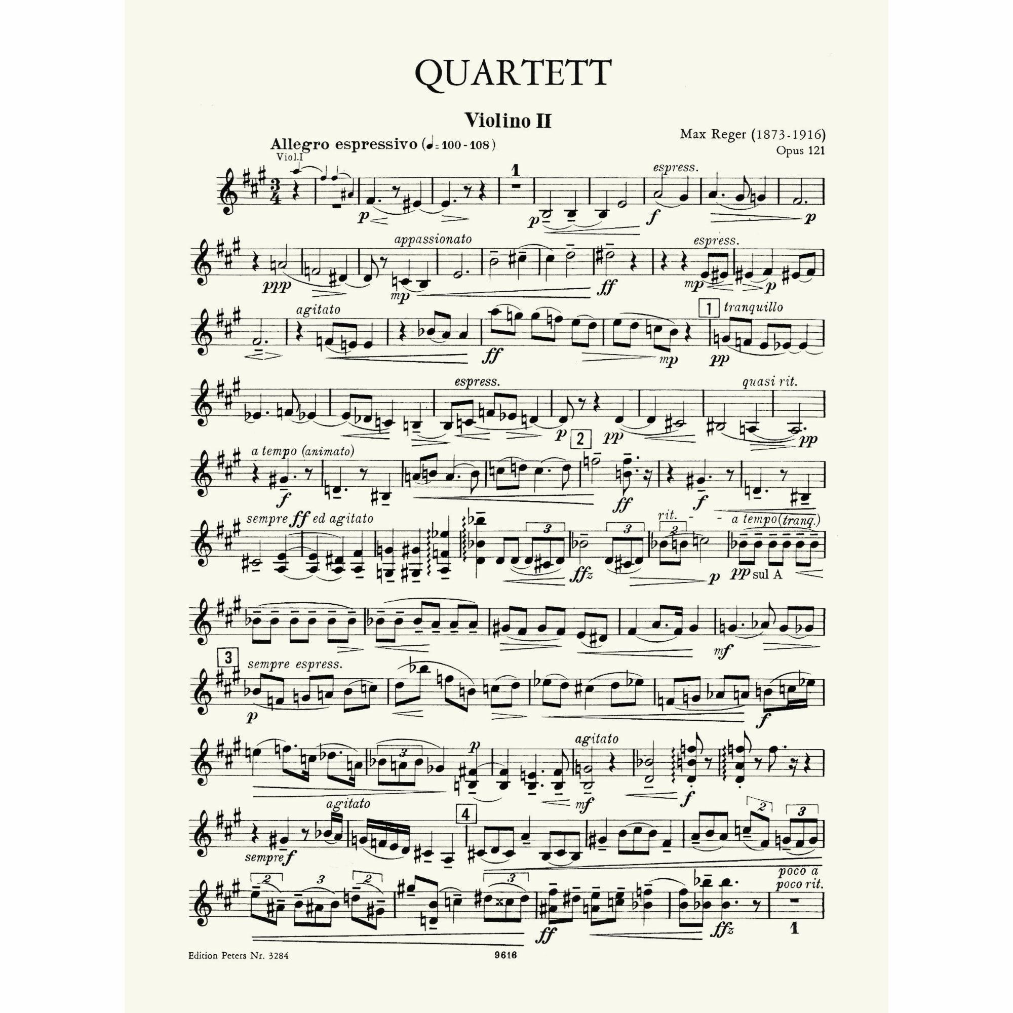 Sample: Violin II (Pg. 1)