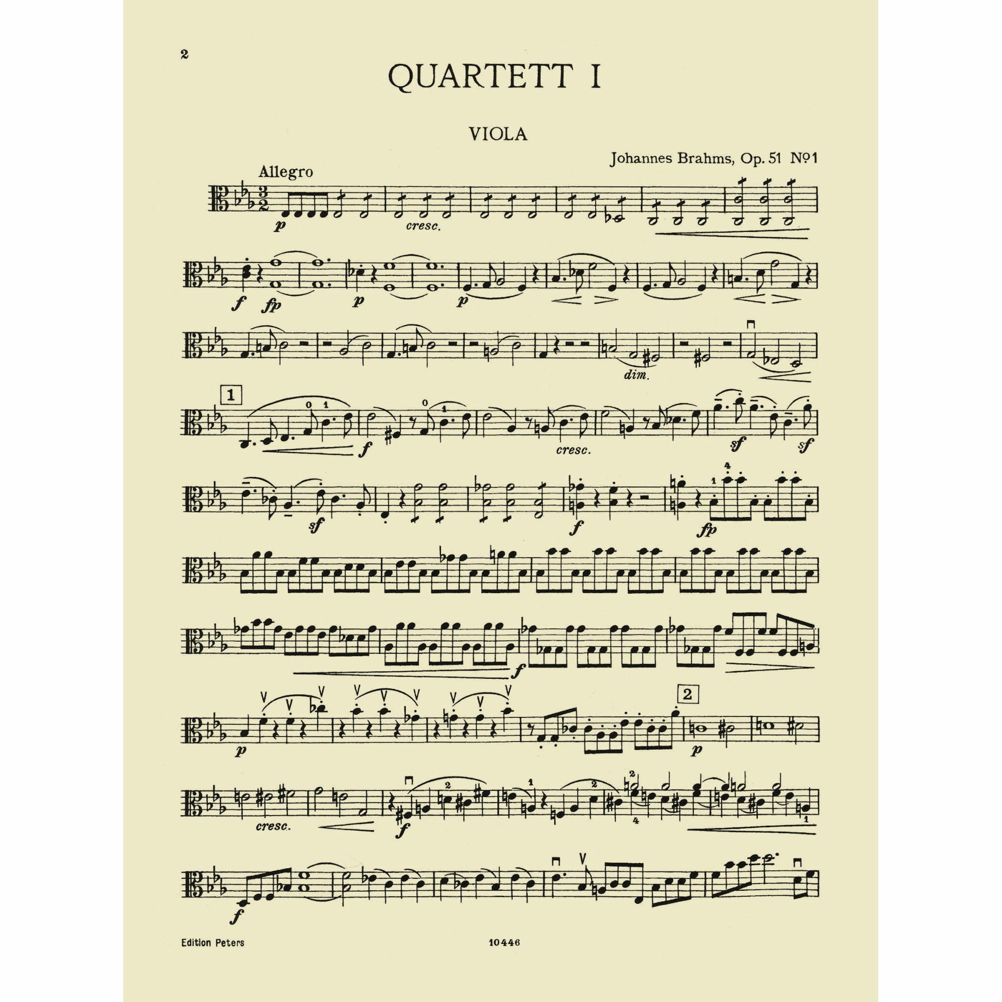 Sample: Viola (Pg. 2)