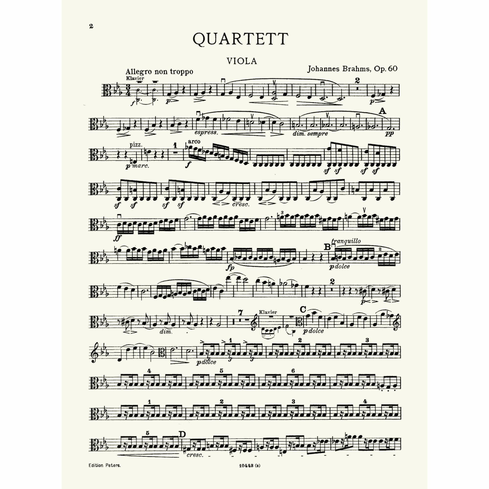 Sample: Viola (Pg. 2)