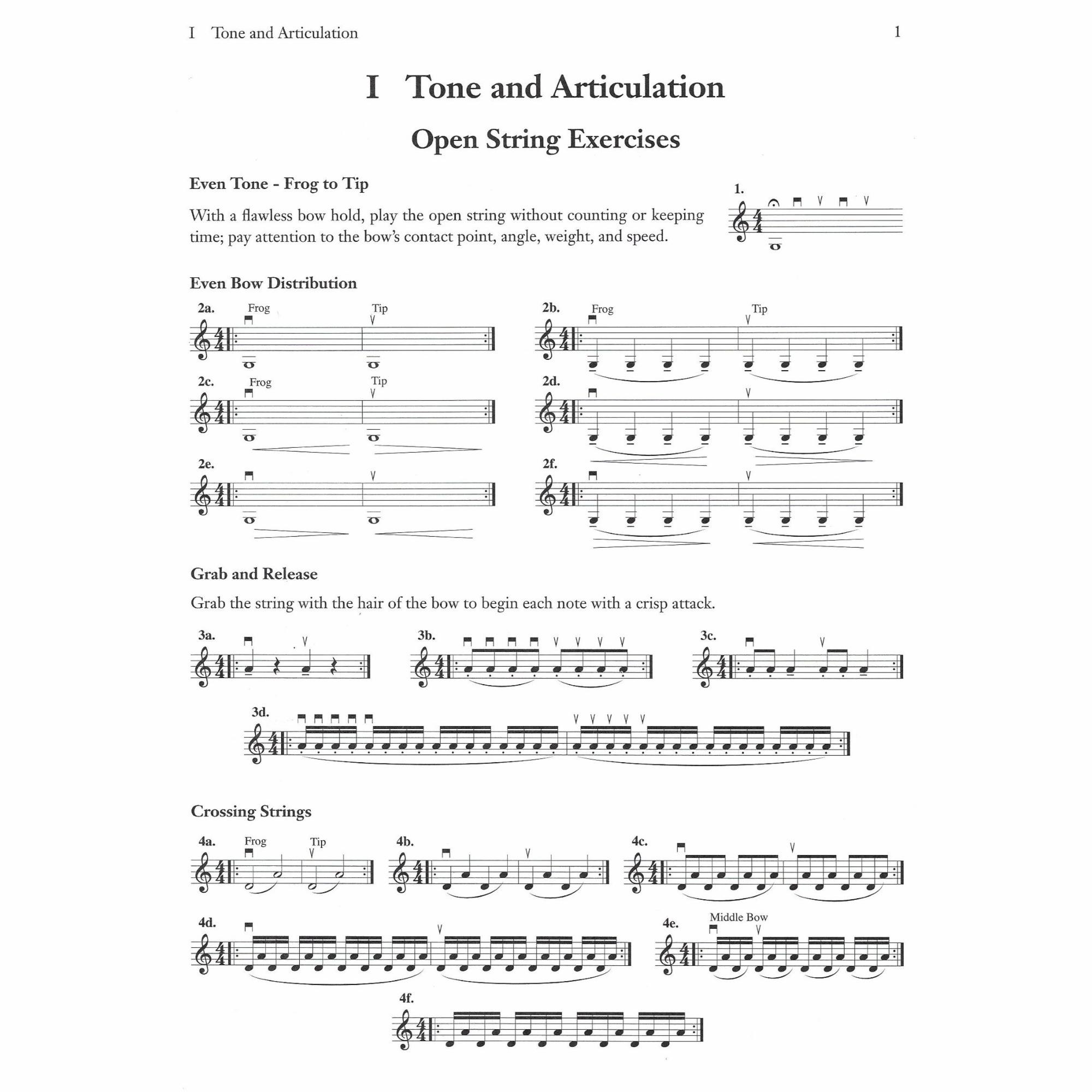 Sample: Violin (Pg. 1)