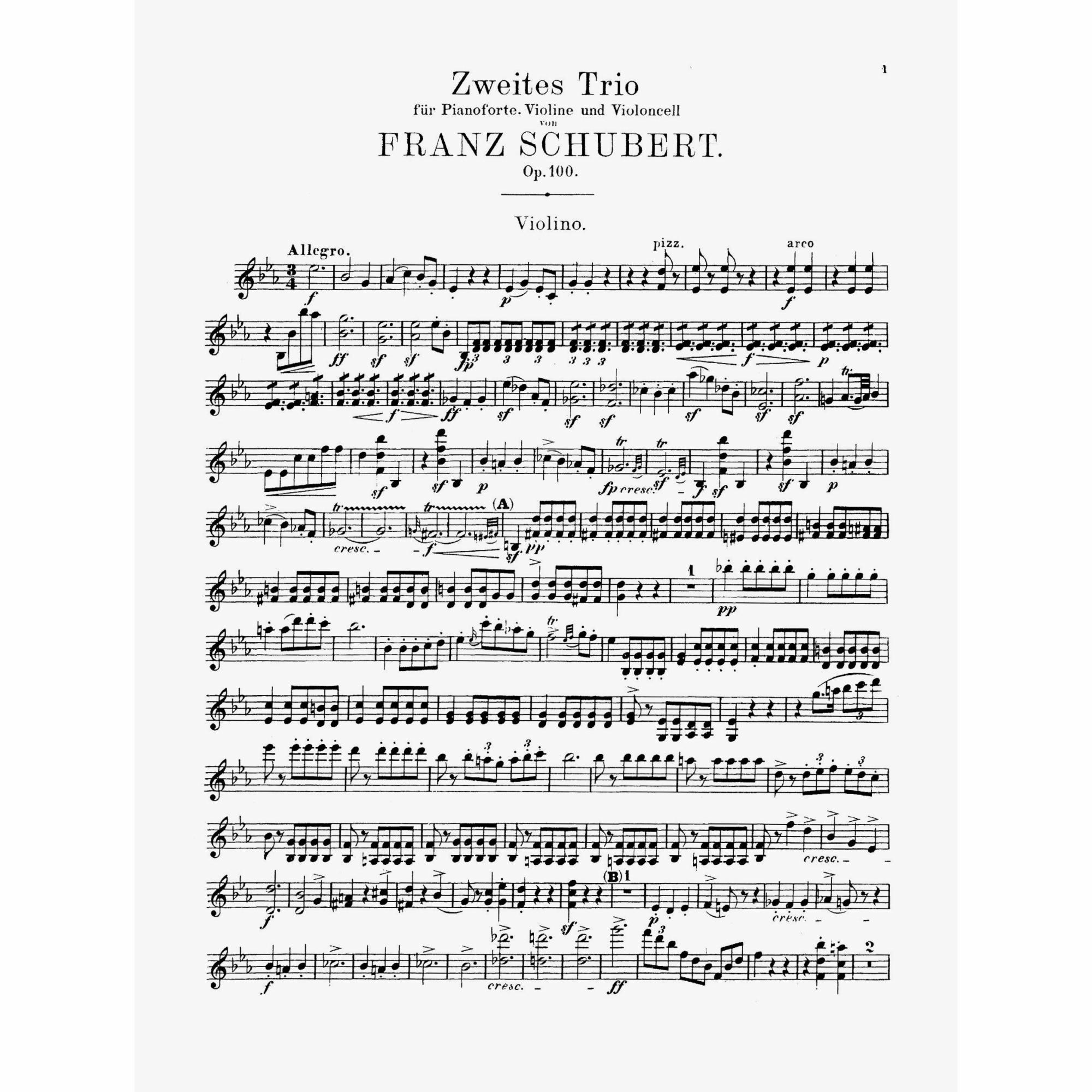 Sample: Violin (Pg. 1)