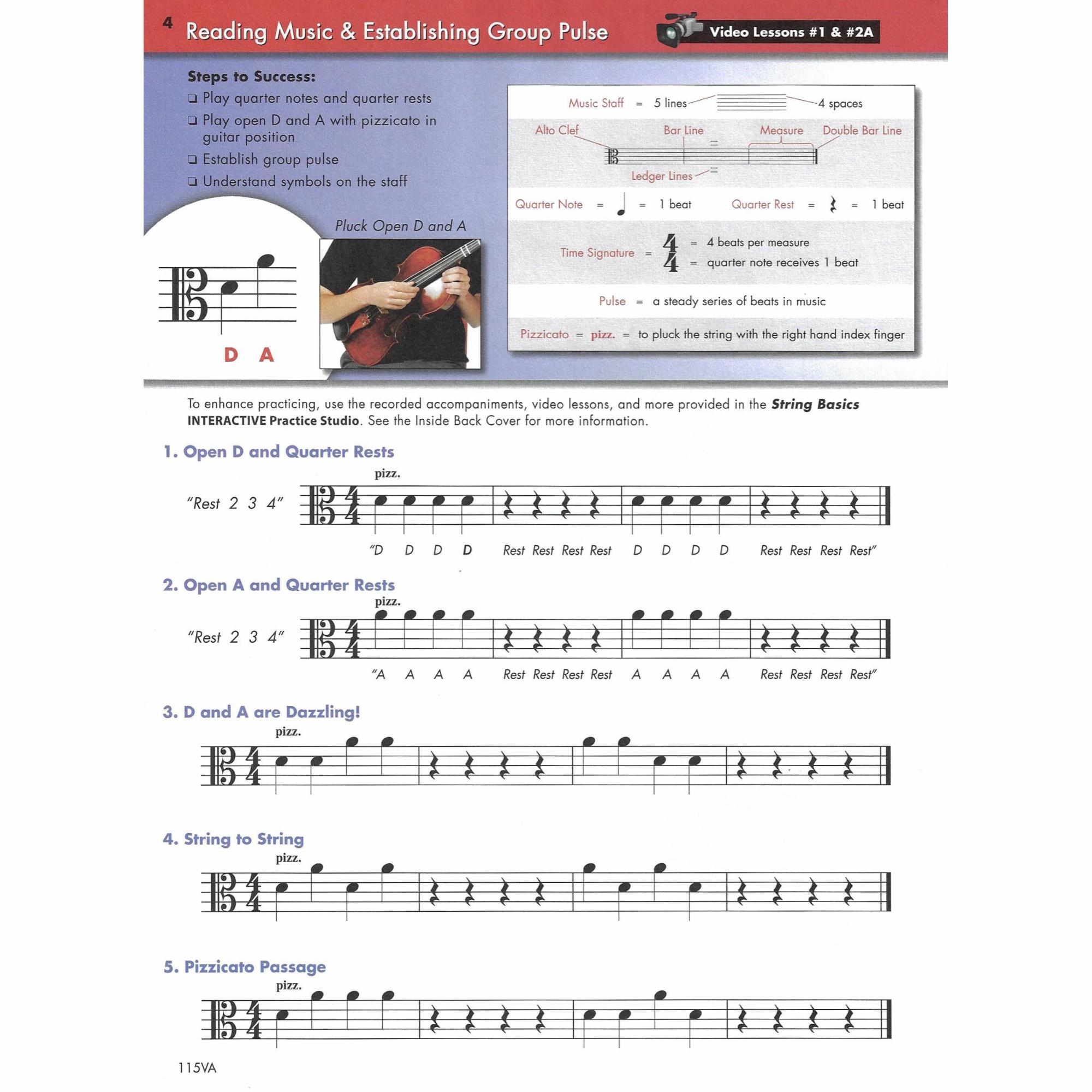 Sample: Viola (Pg. 4)