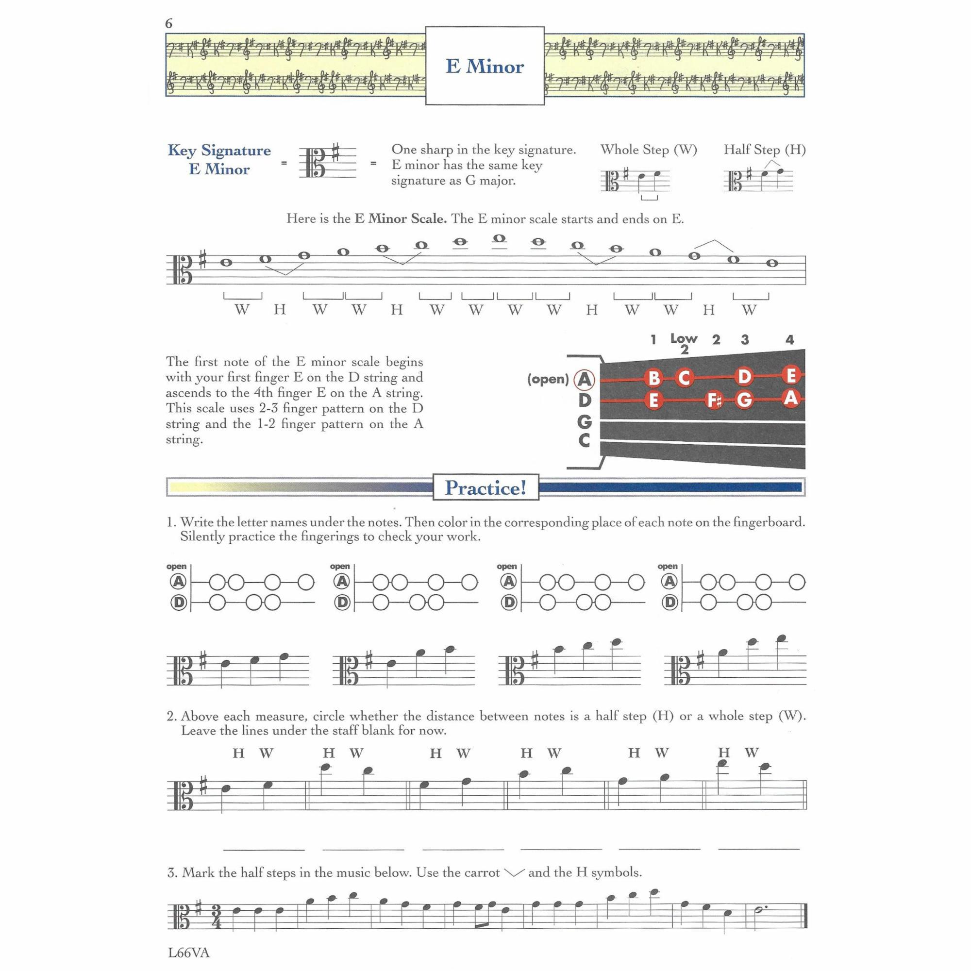 Sample: Viola (Pg. 6)