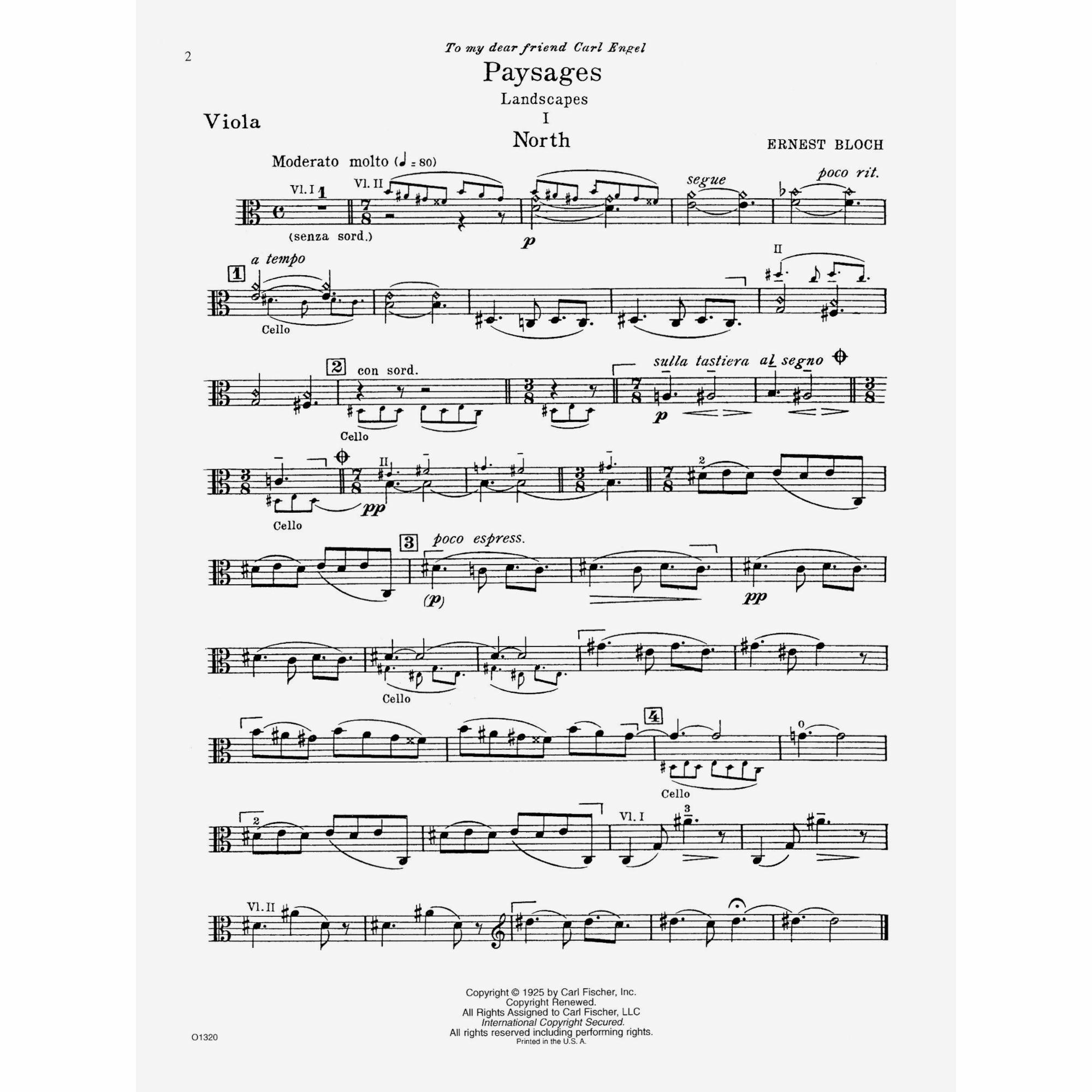 Sample: Viola (Pg. 2)