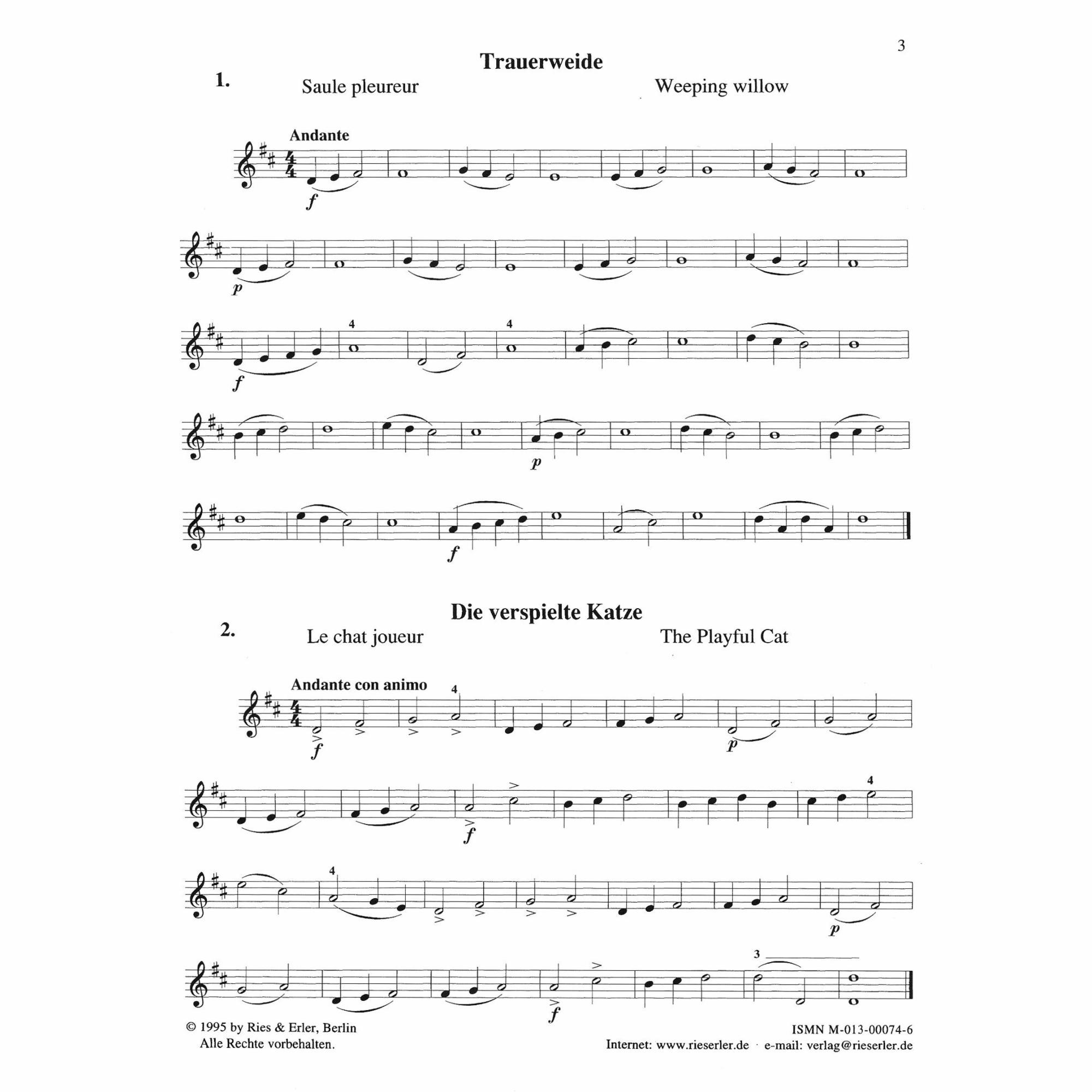 Sample: Violin (Pg. 3)