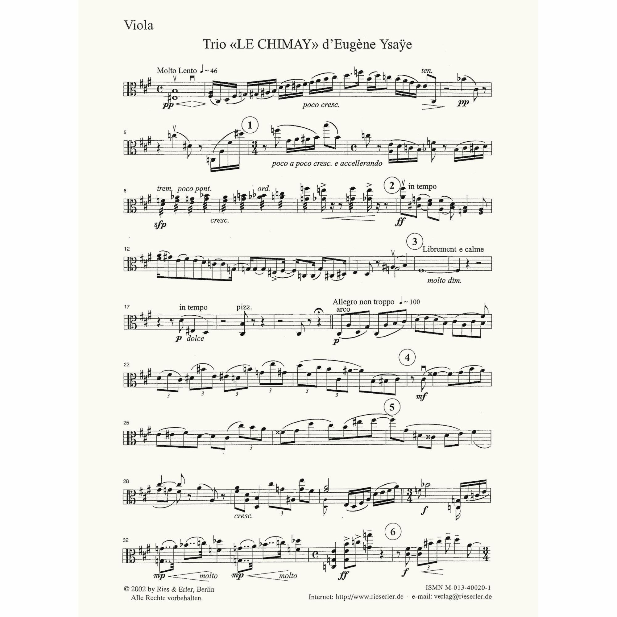 Sample: Viola (Pg. 1)