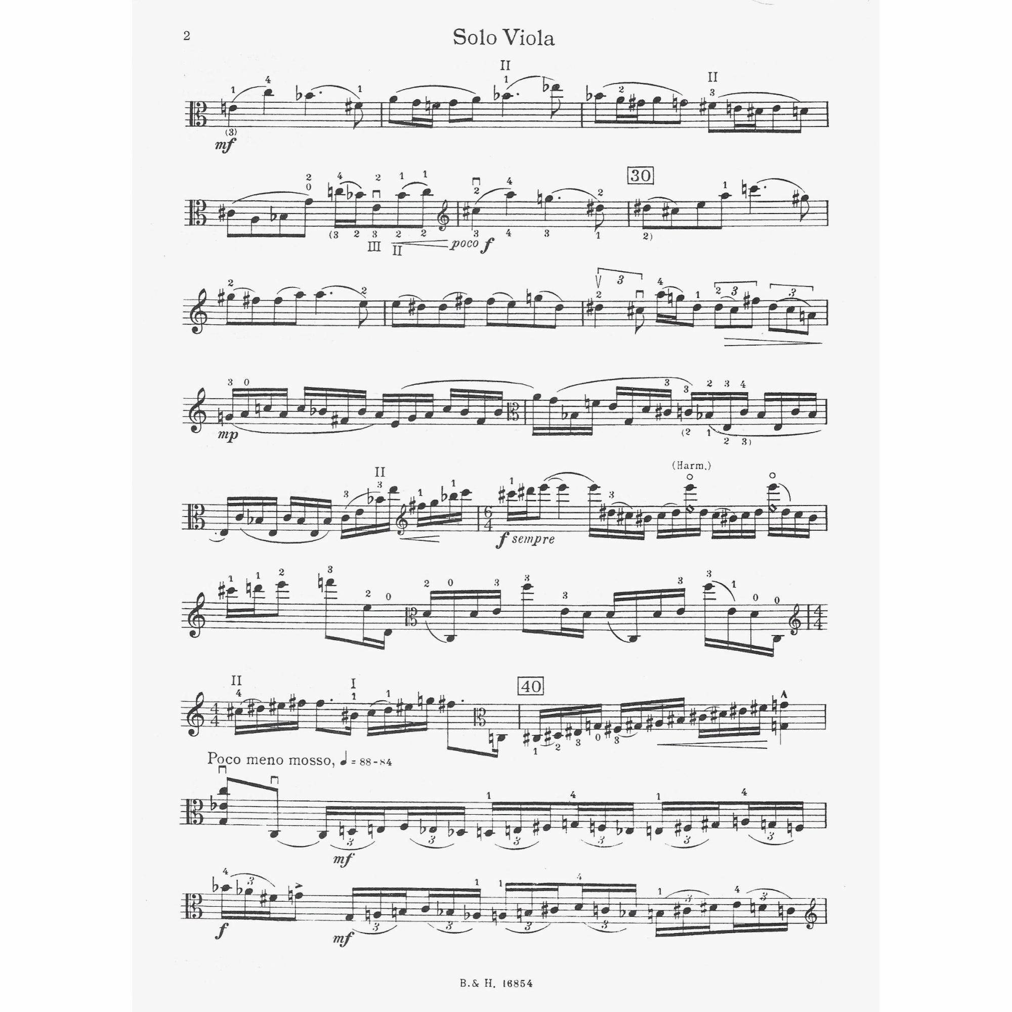 Sample: Viola Part (Pg. 2)