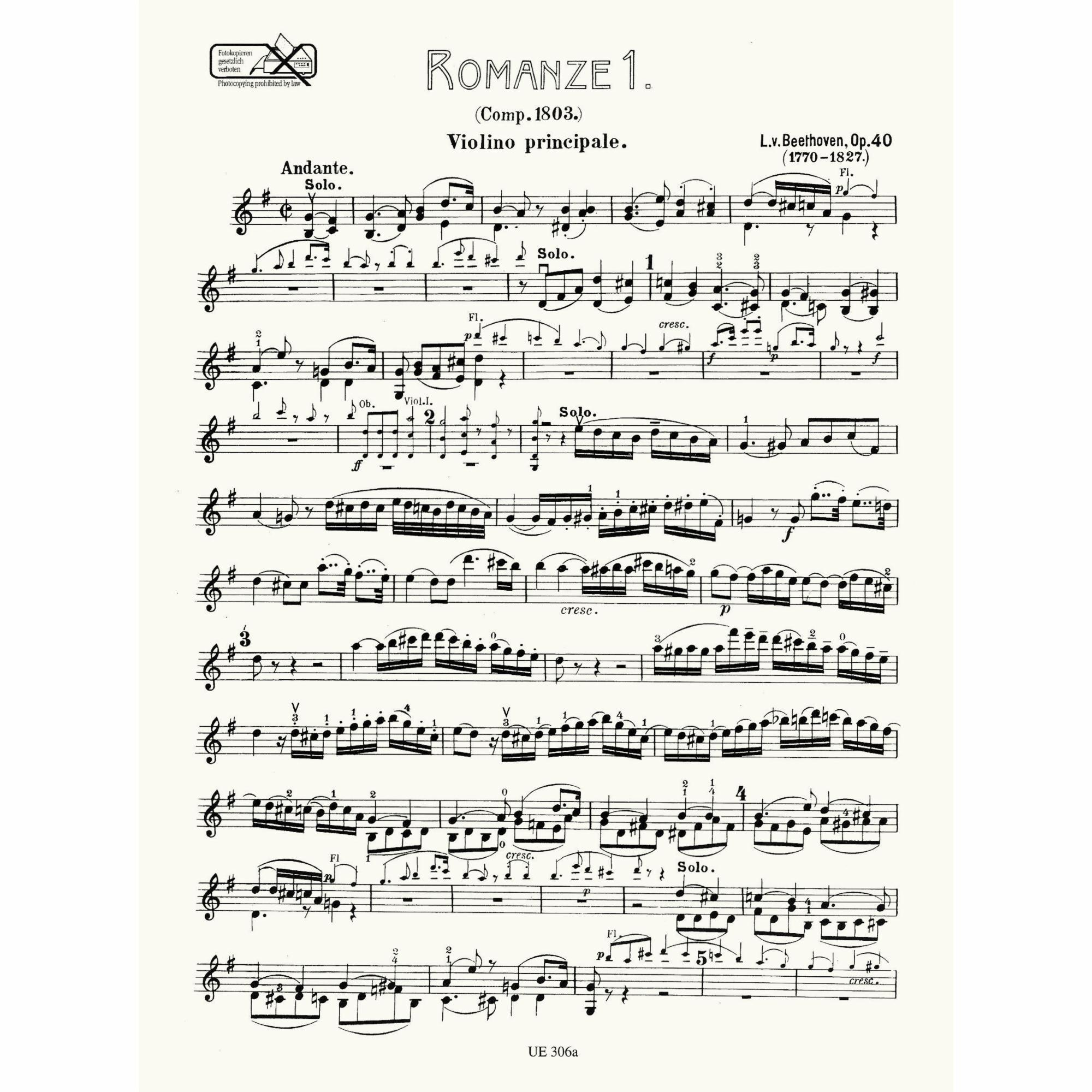 Sample: Violin (Pg. 1)