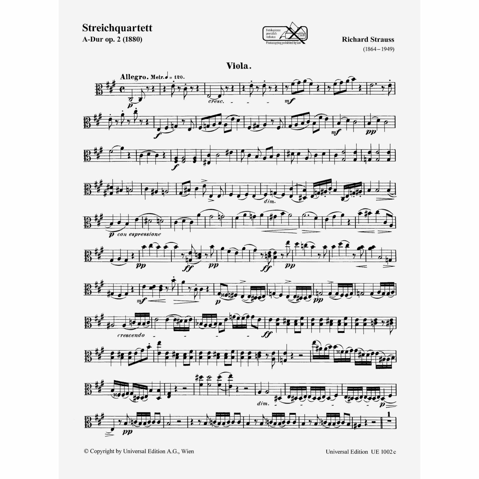 Sample: Viola (Pg. 1)